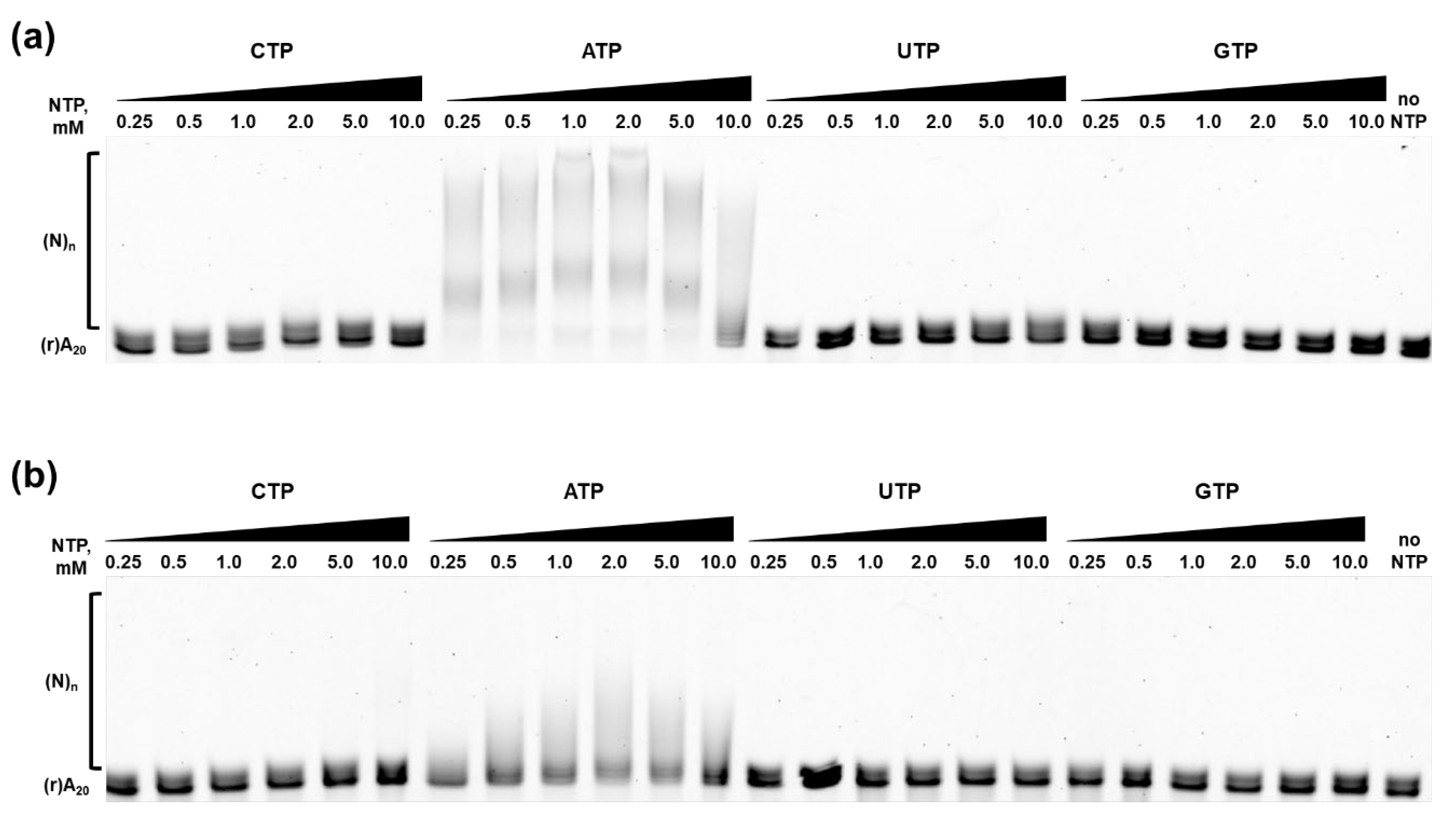 Preprints 188192 g008