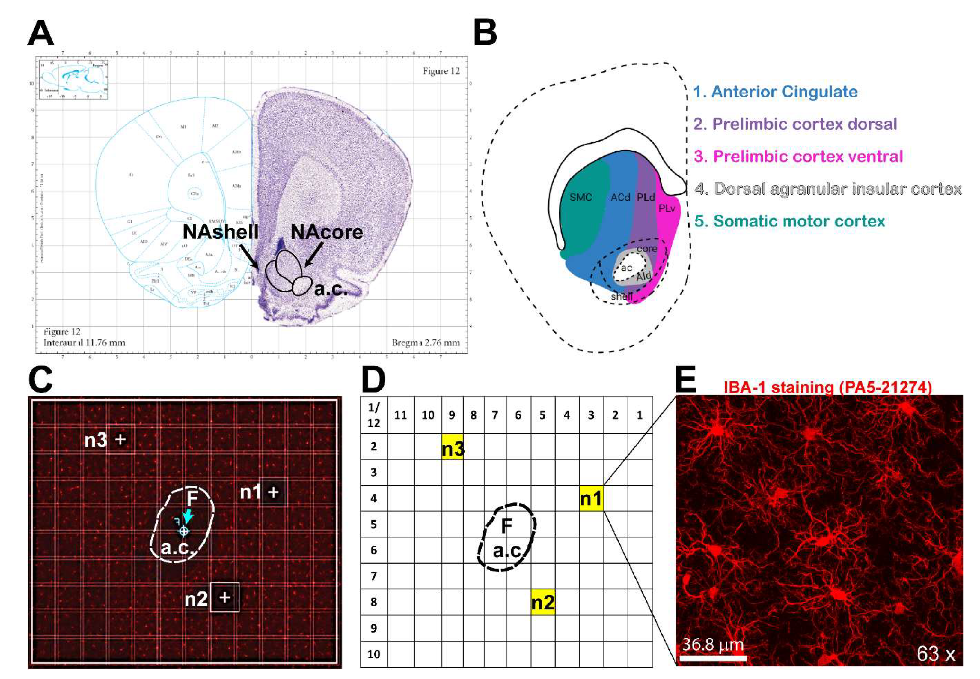 Preprints 157986 g001