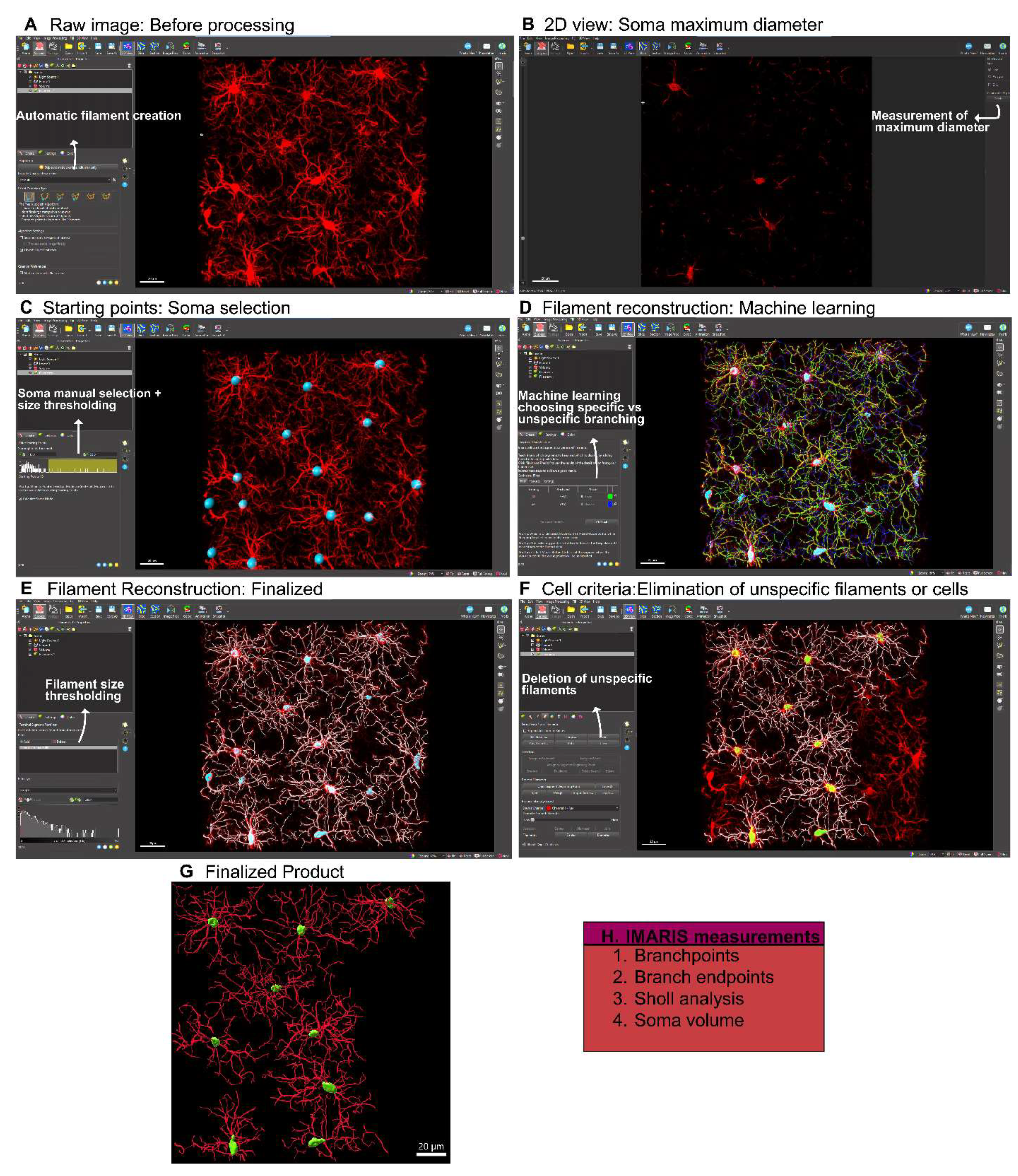 Preprints 157986 g002