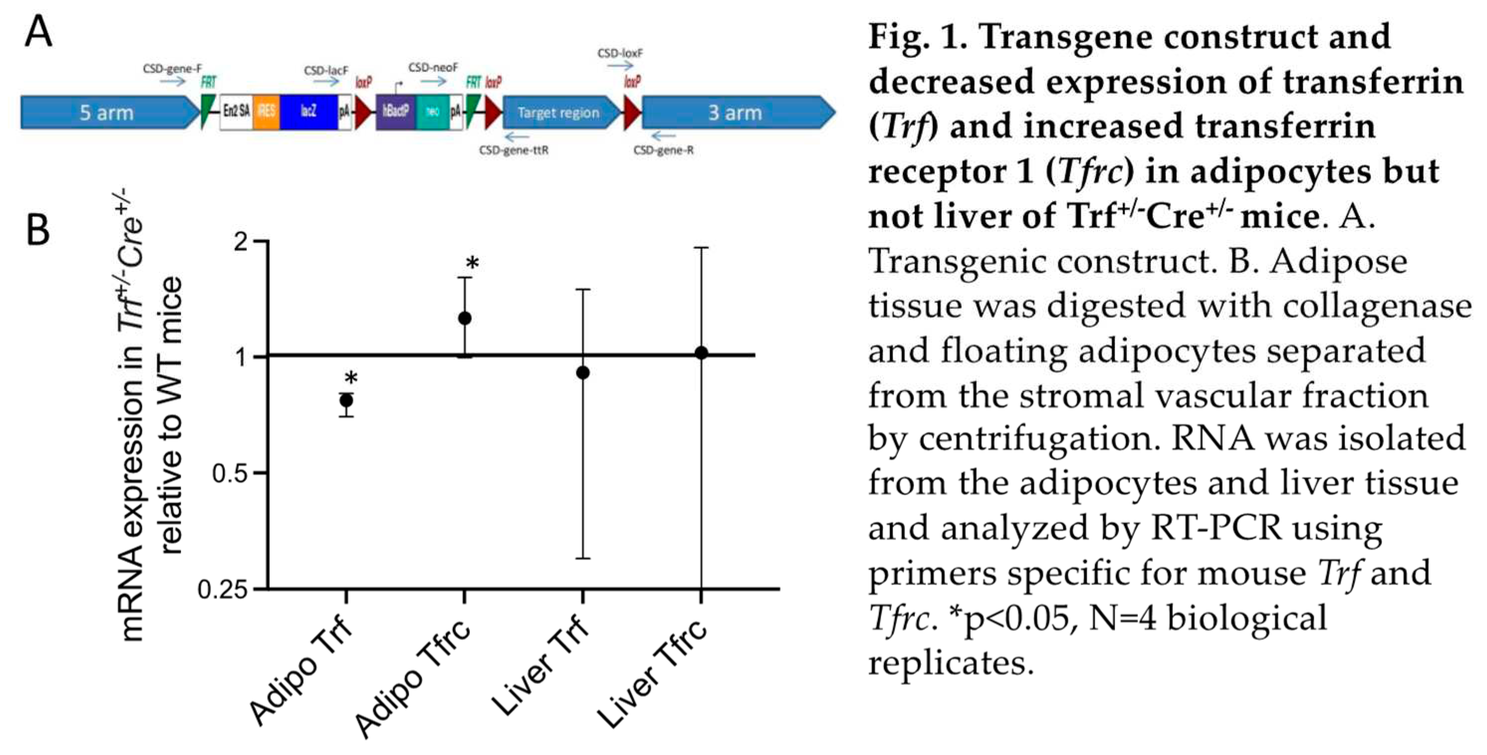 Preprints 83381 g001