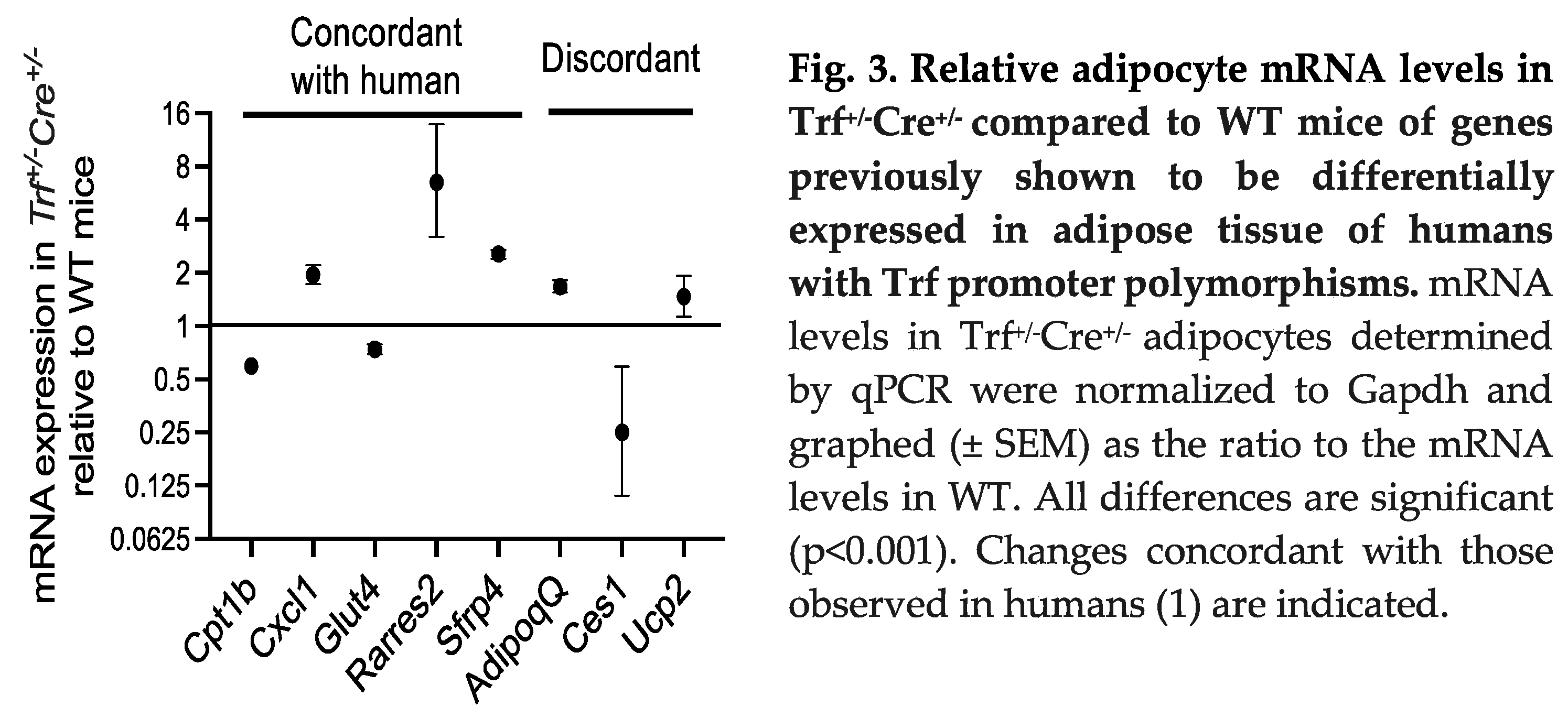 Preprints 83381 g003