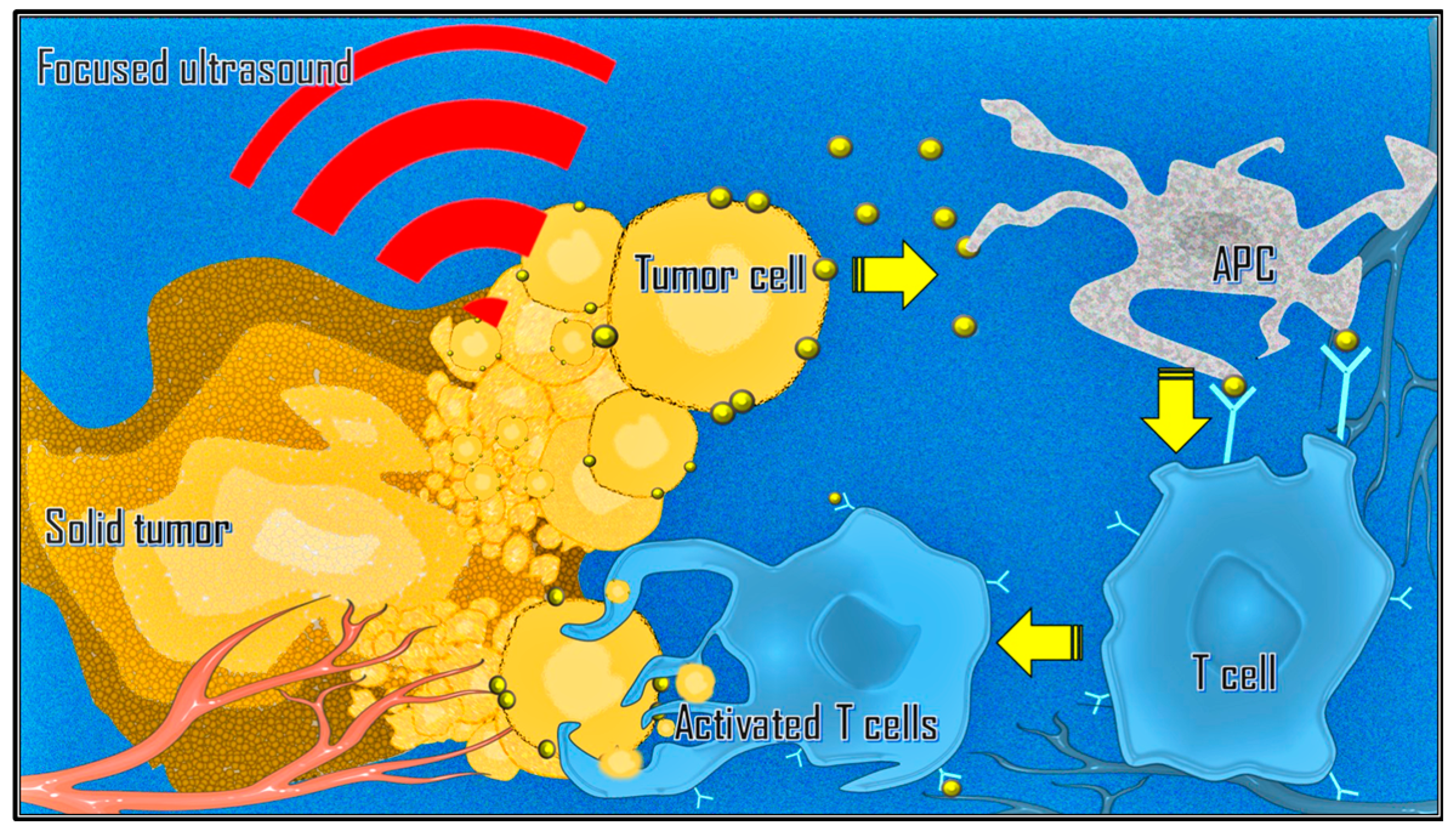 Preprints 142225 g004