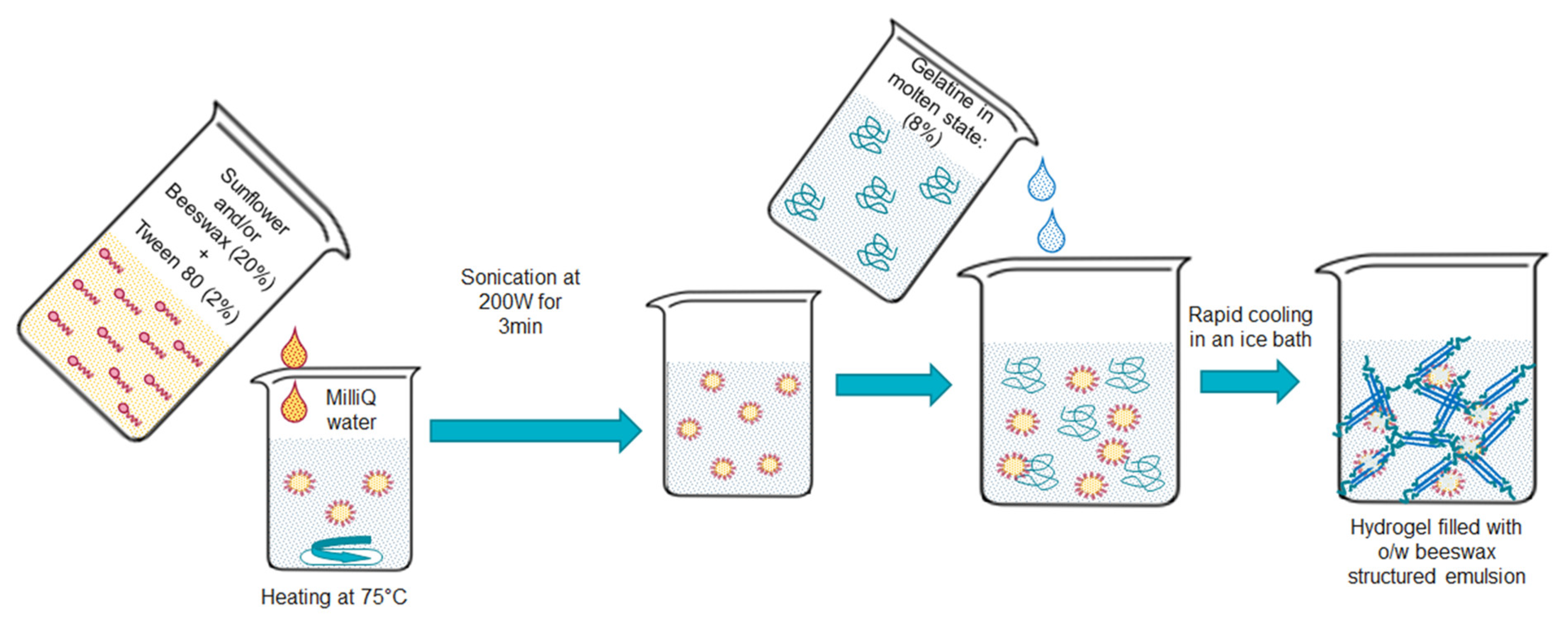 Preprints 208561 g001