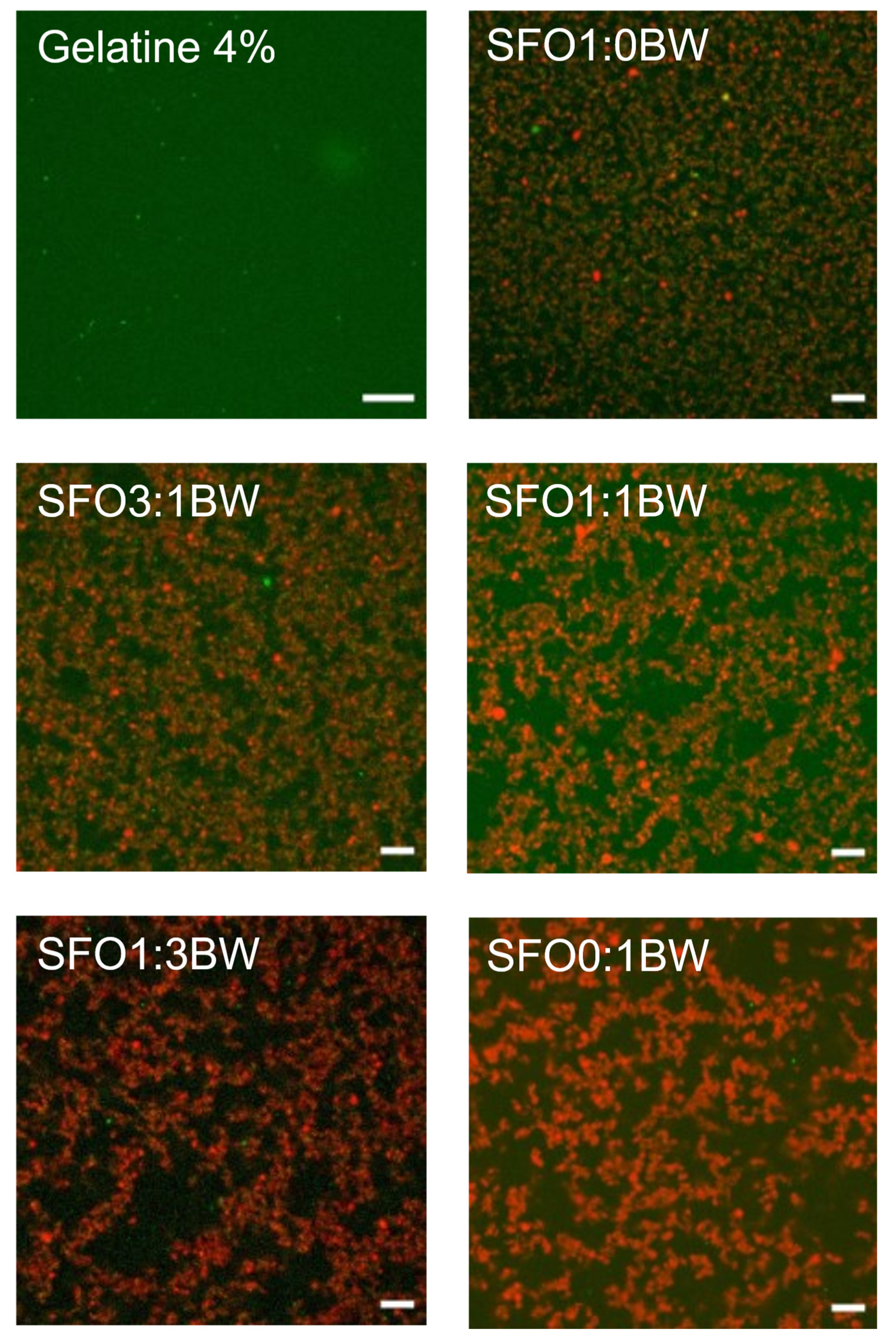 Preprints 208561 g002