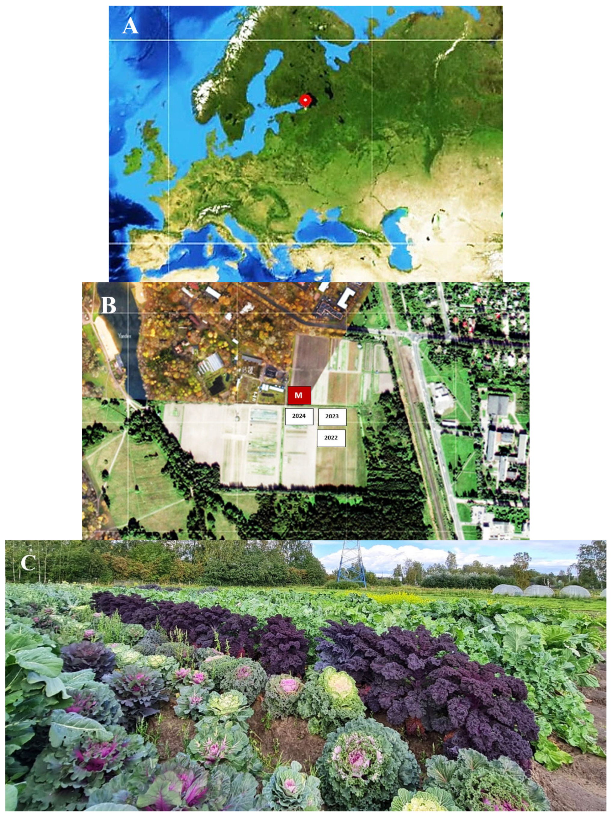 Preprints 165853 g001