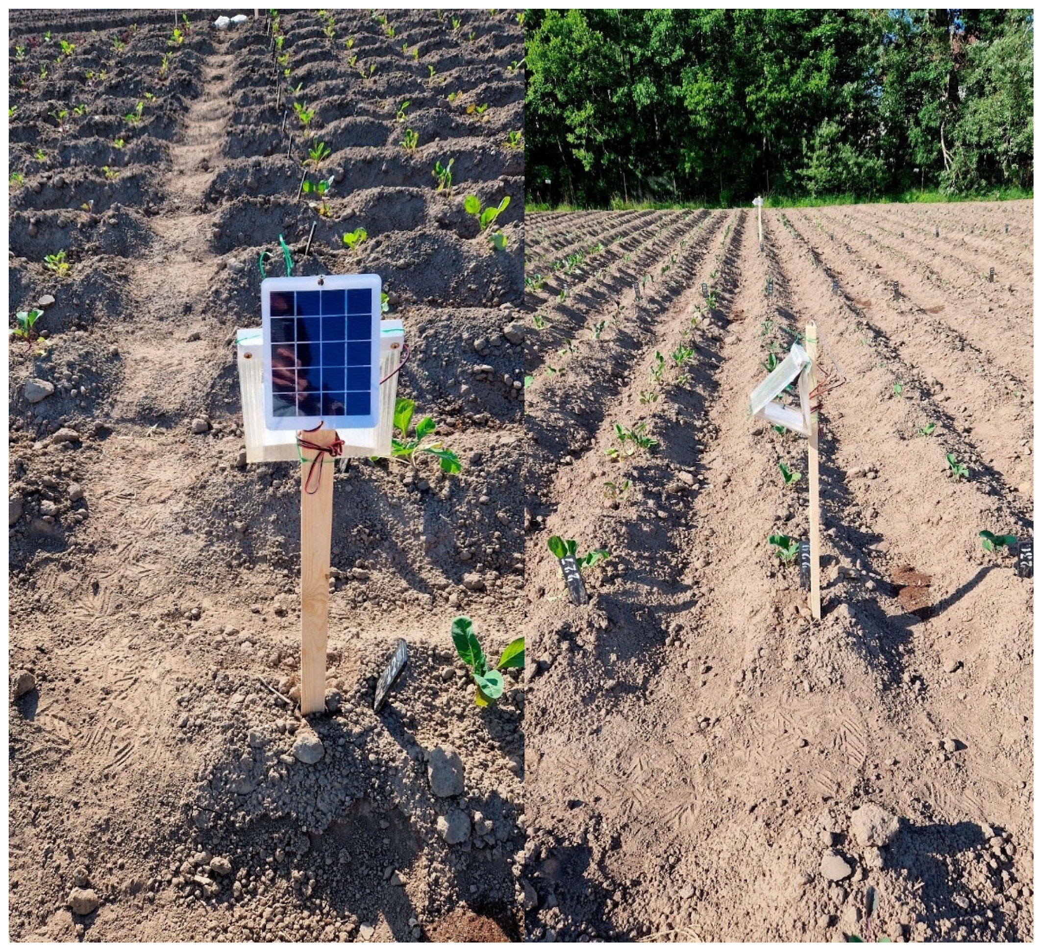 Preprints 165853 g004