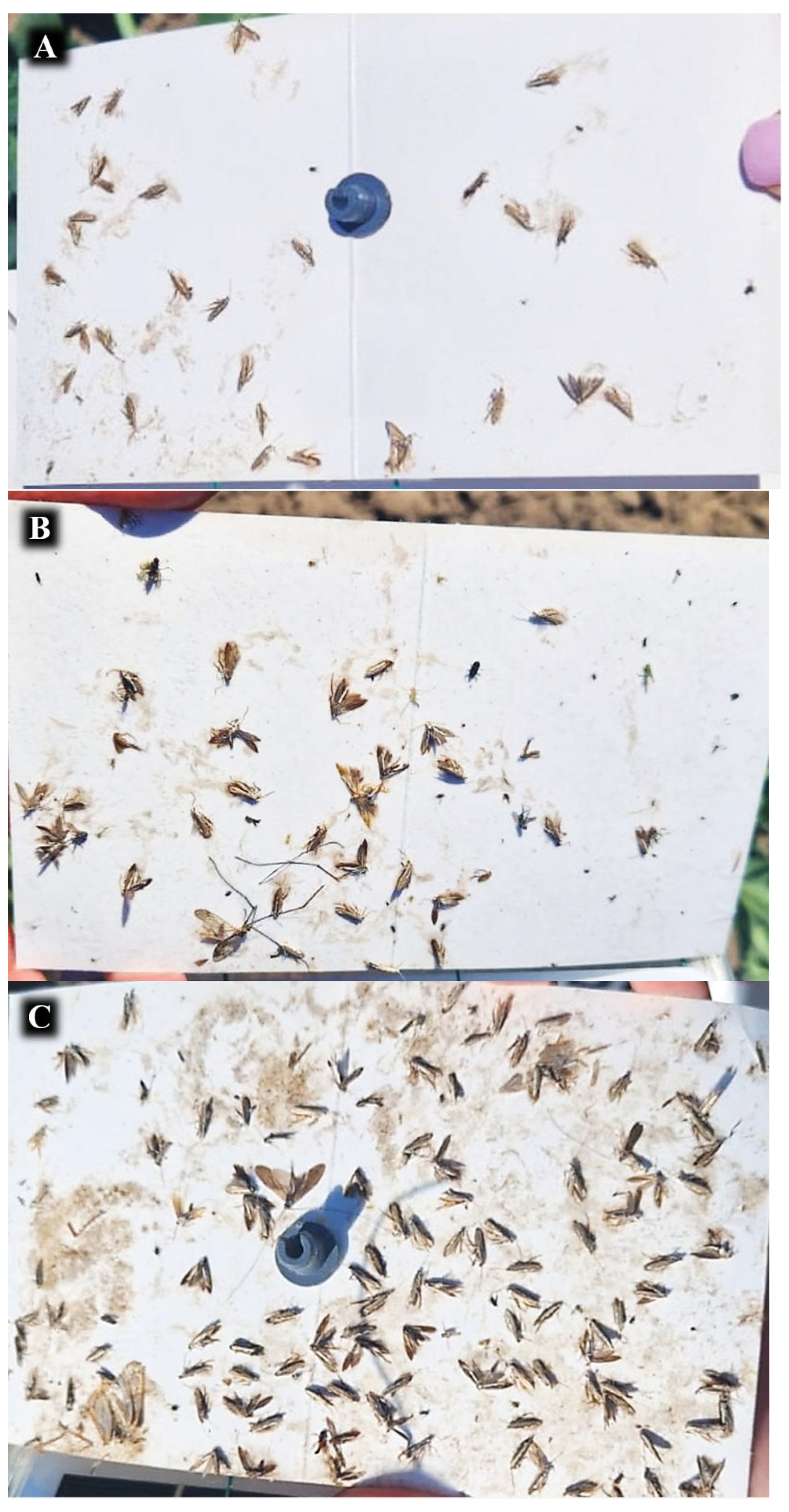 Preprints 165853 g005a