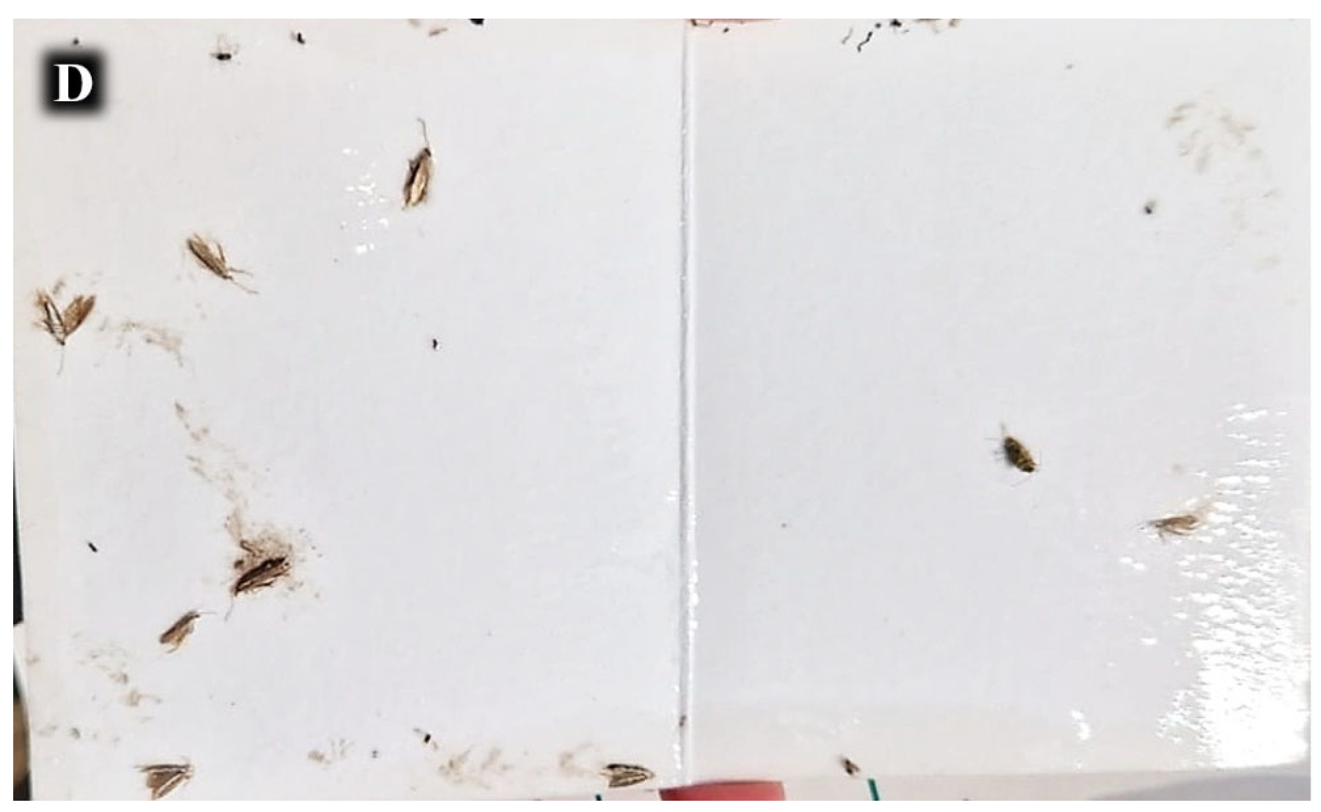 Preprints 165853 g005b