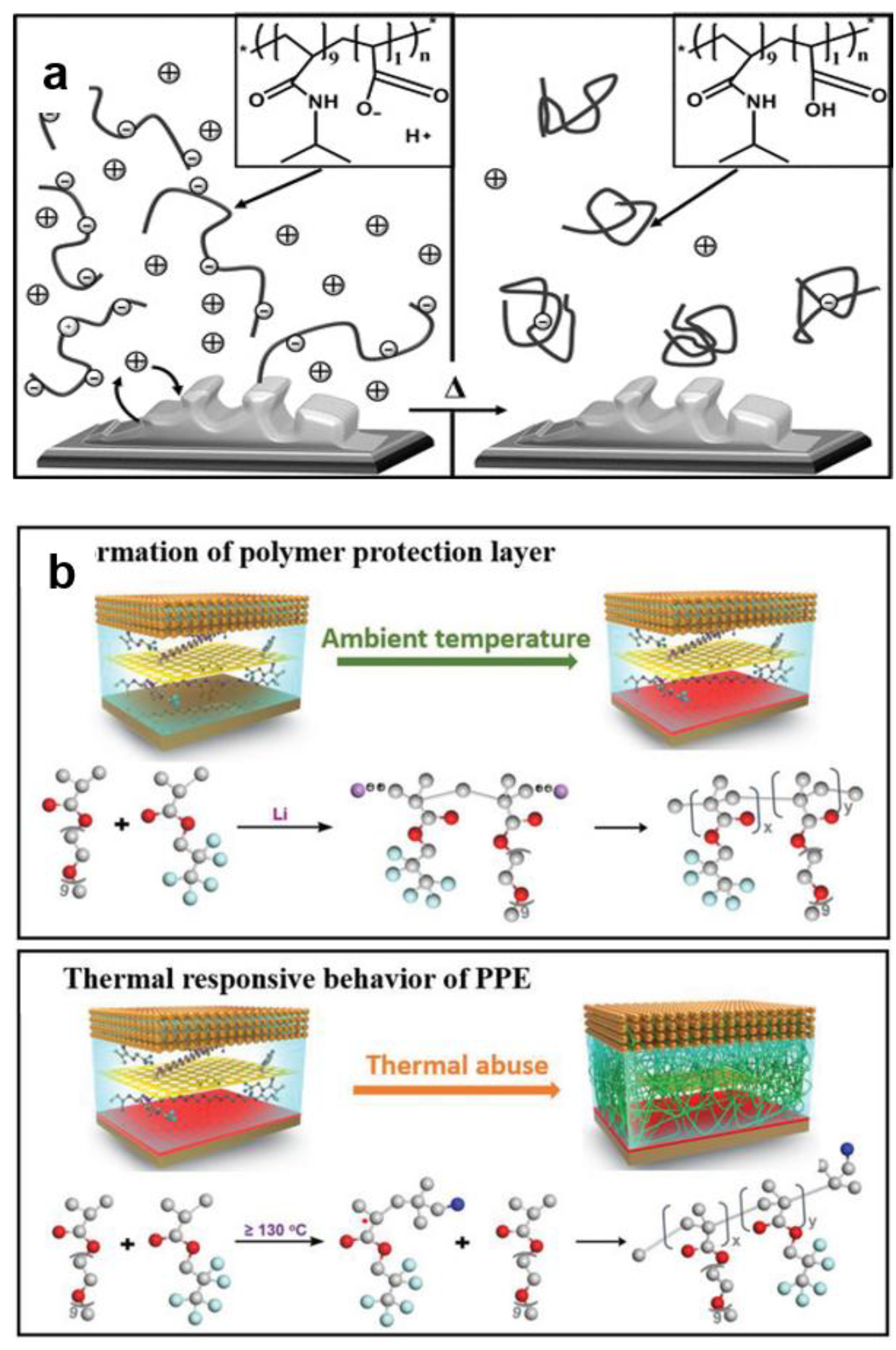 Preprints 149118 g005