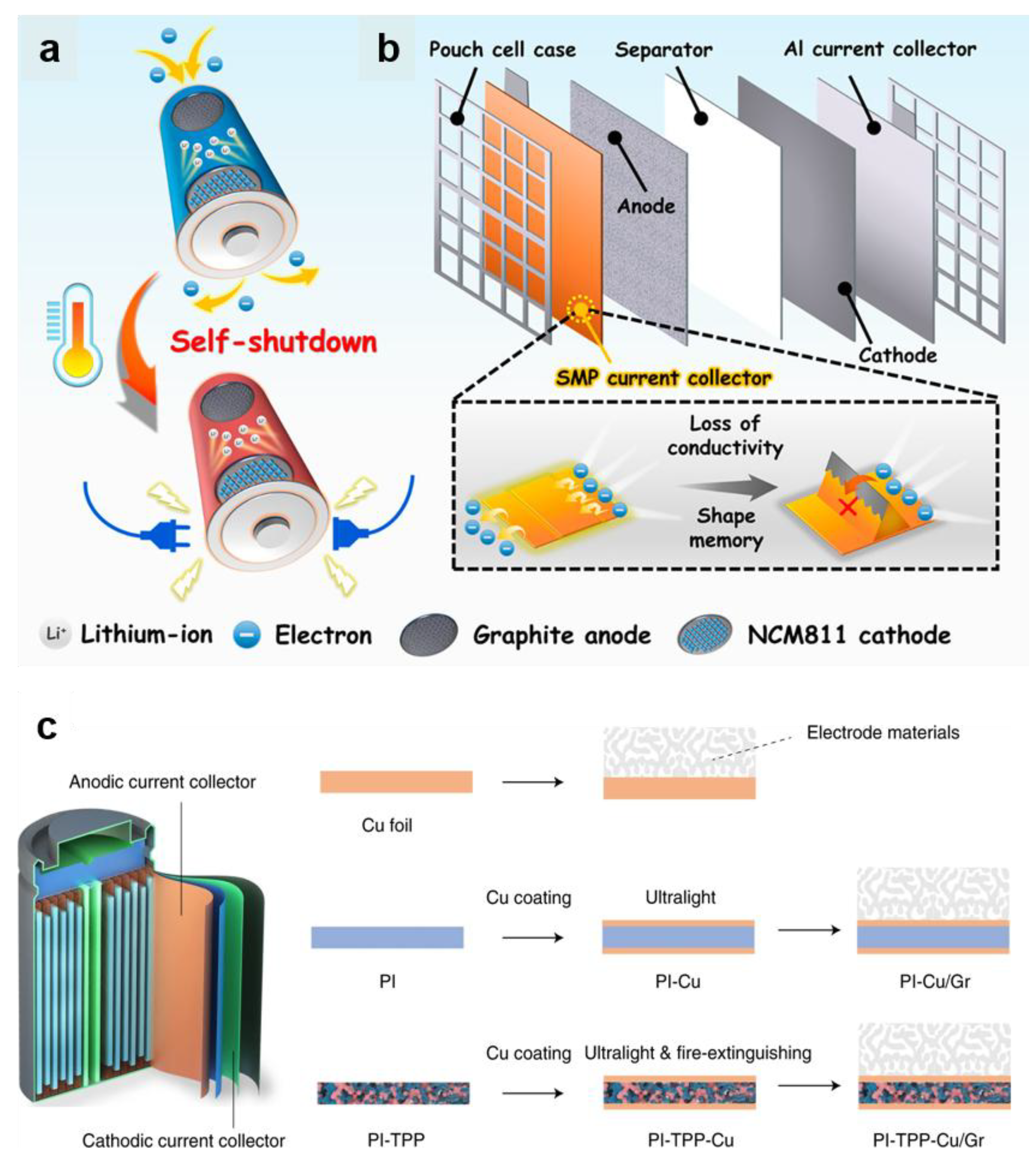 Preprints 149118 g006