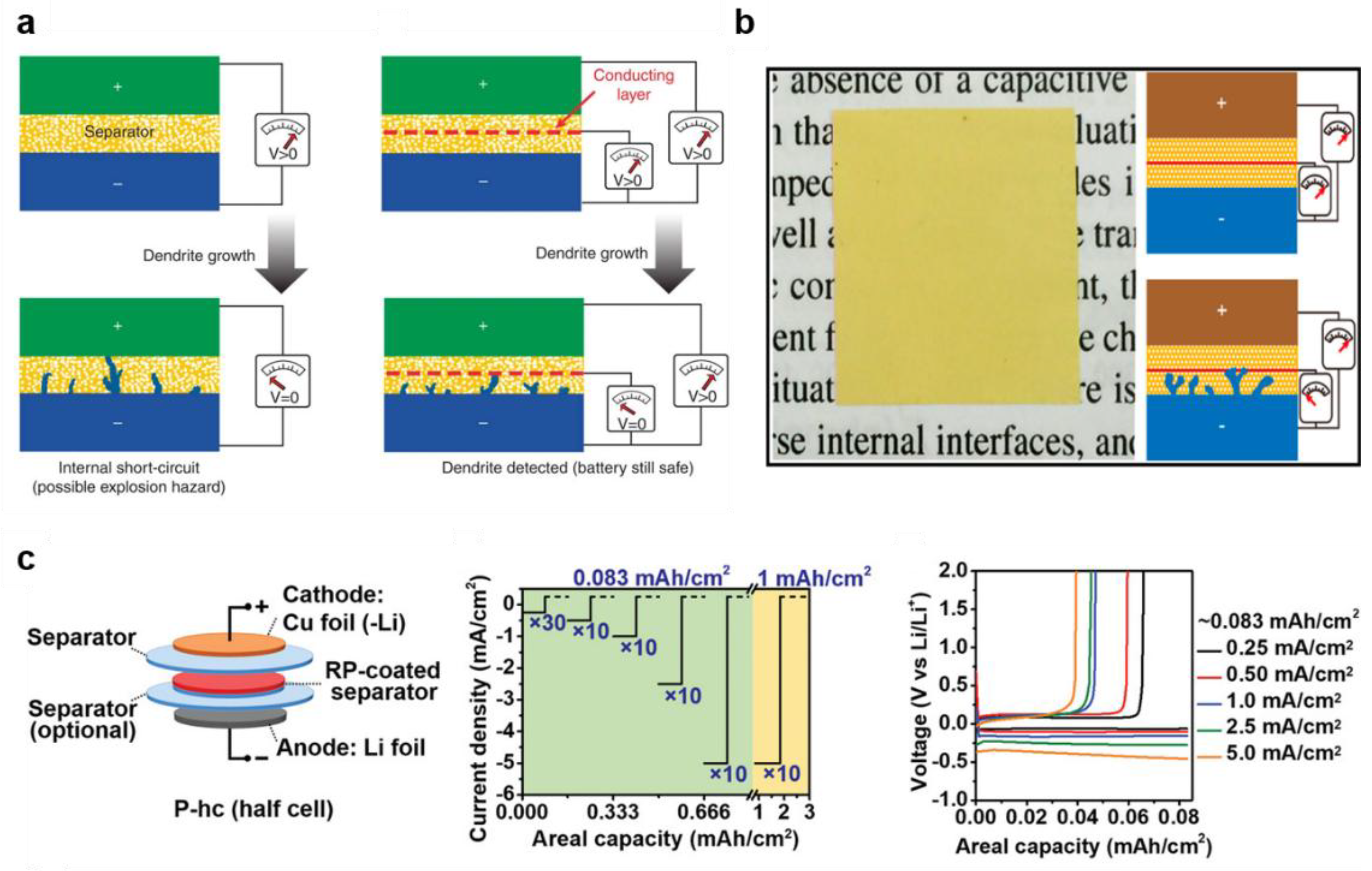 Preprints 149118 g009