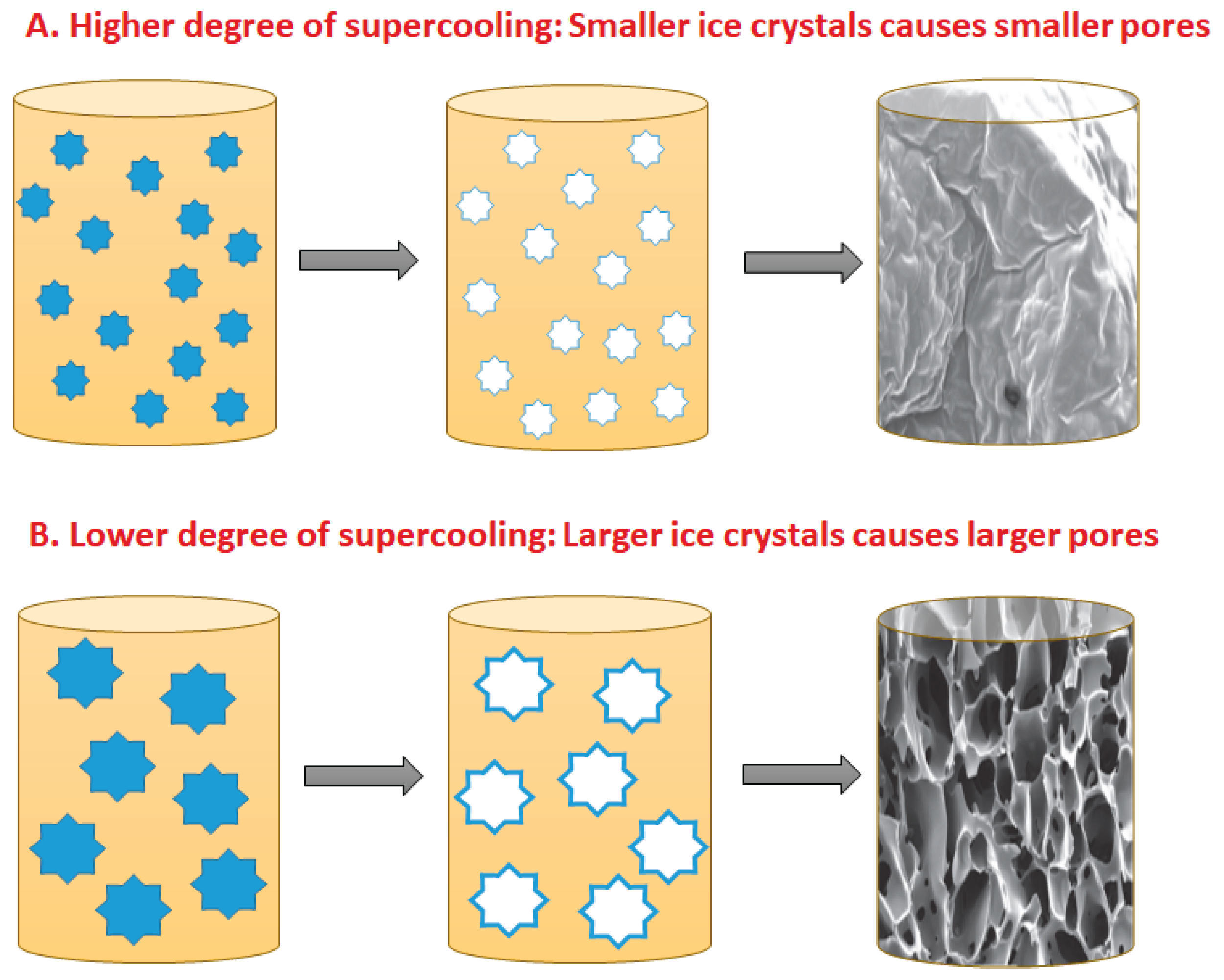 Preprints 165323 g002