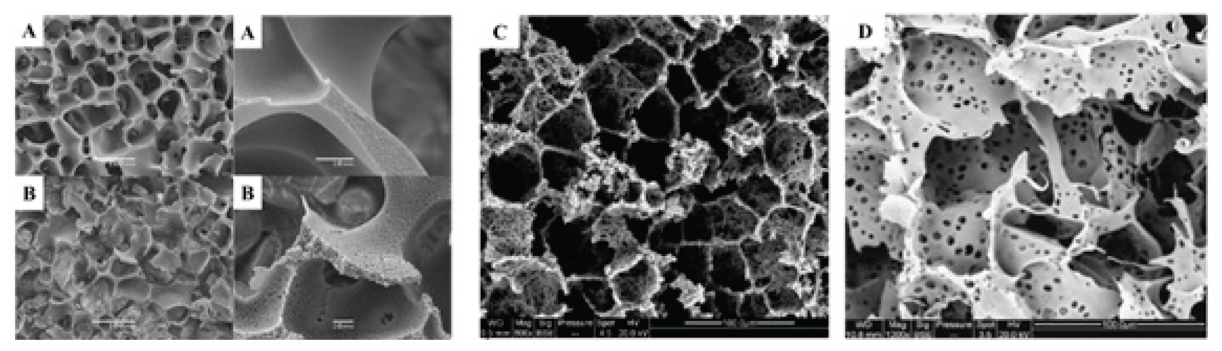 Preprints 165323 g004