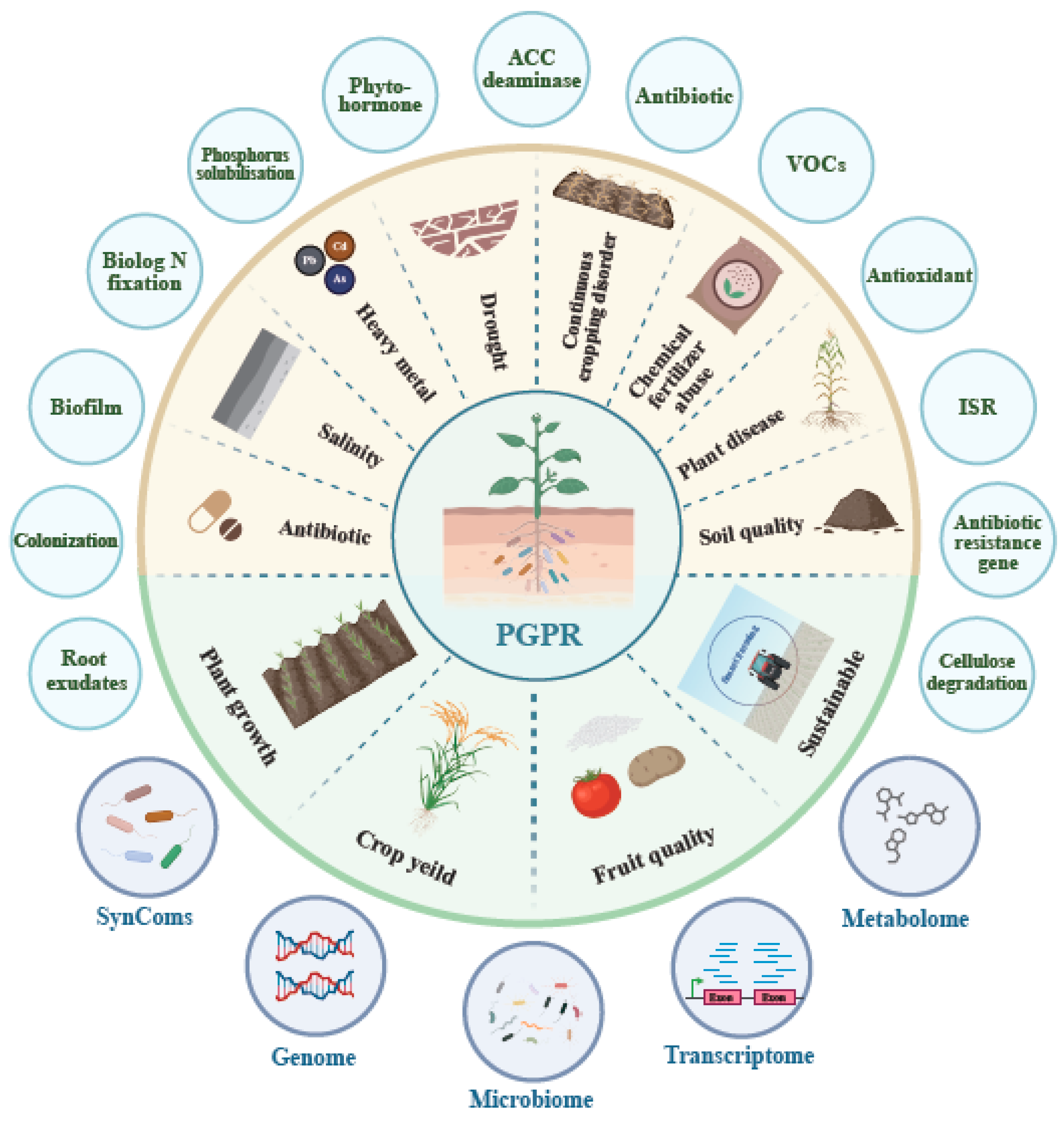 Preprints 144704 g004