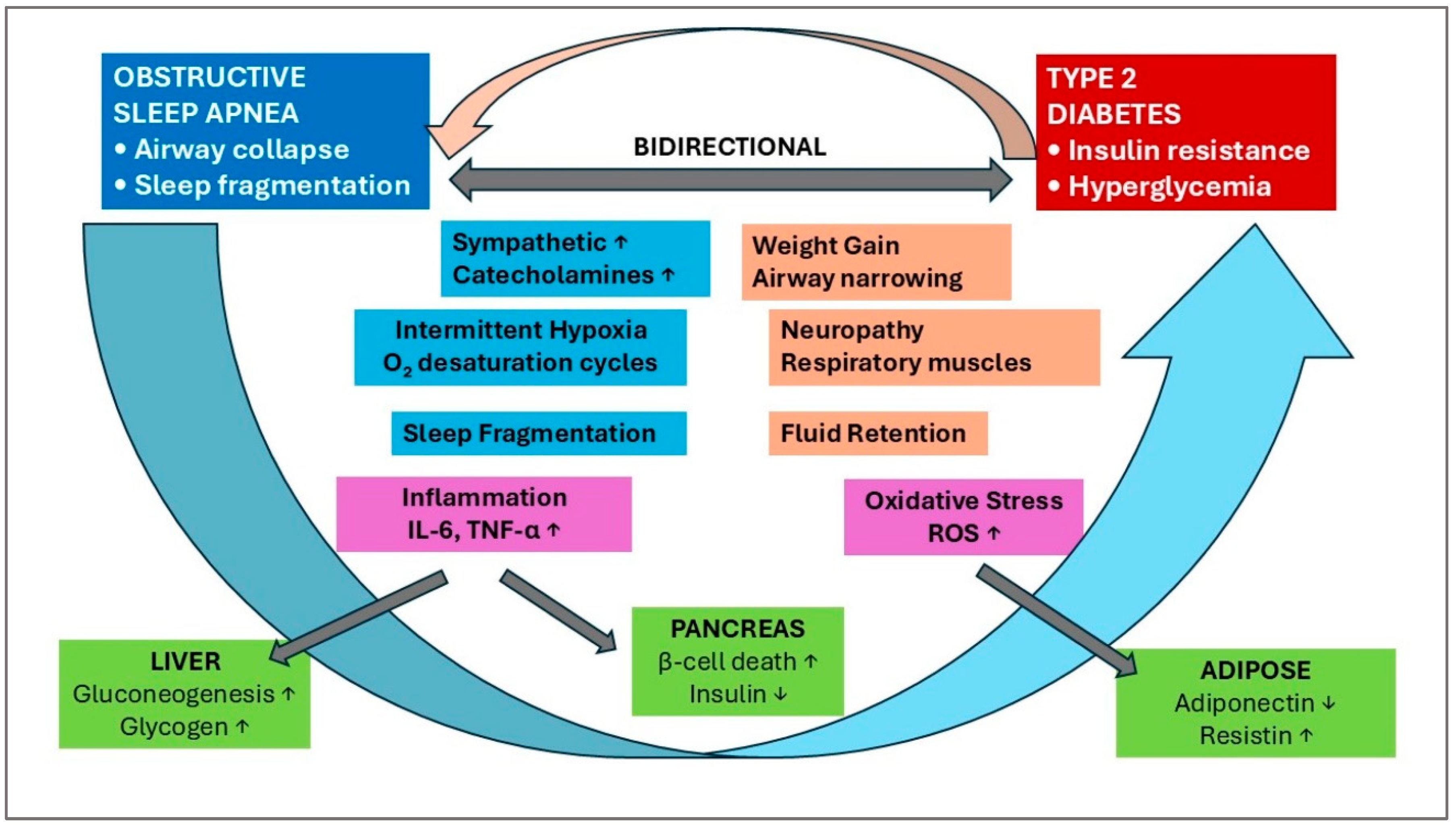 Preprints 181196 g001