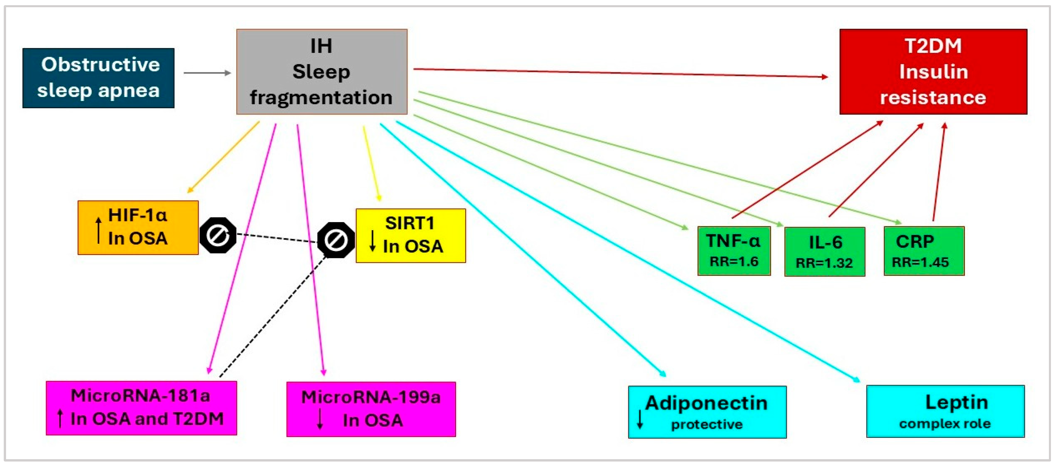 Preprints 181196 g002