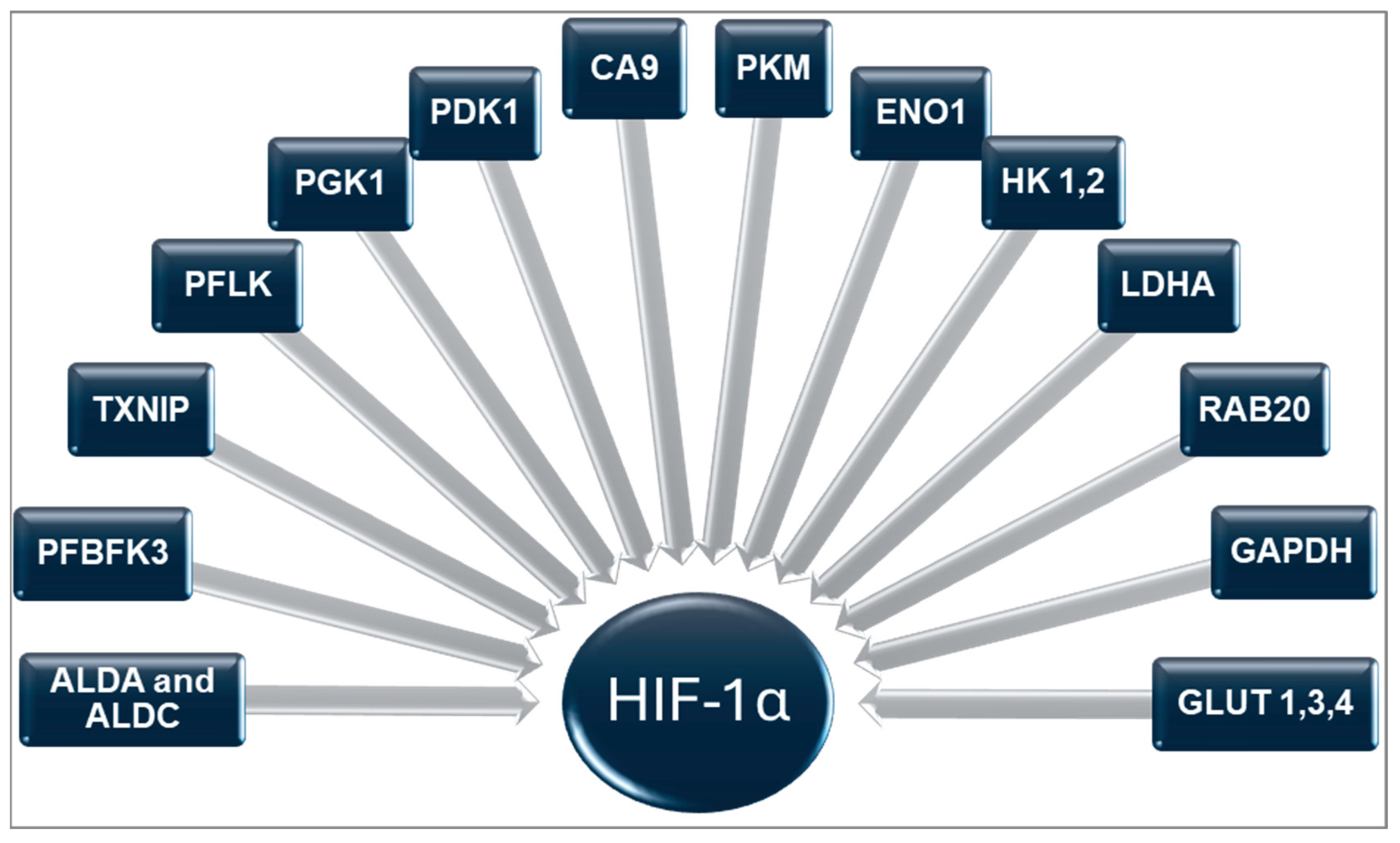 Preprints 181196 g003
