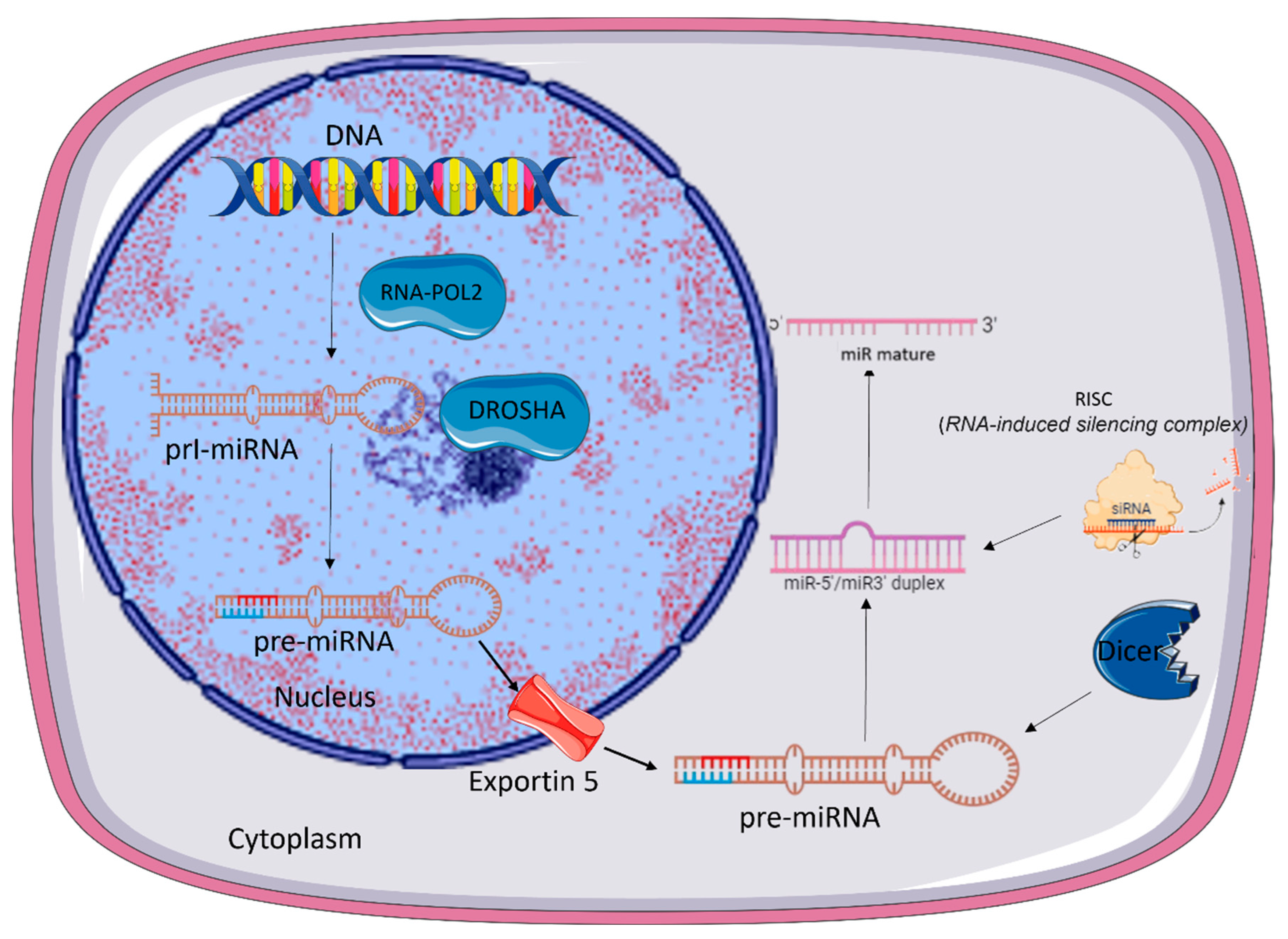 Preprints 143790 g001
