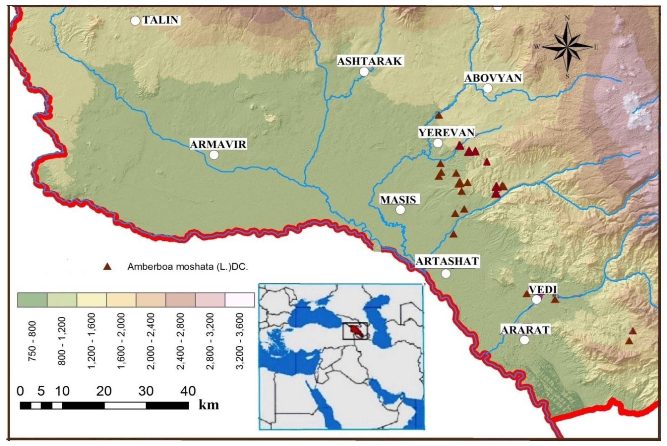 Preprints 149043 g001