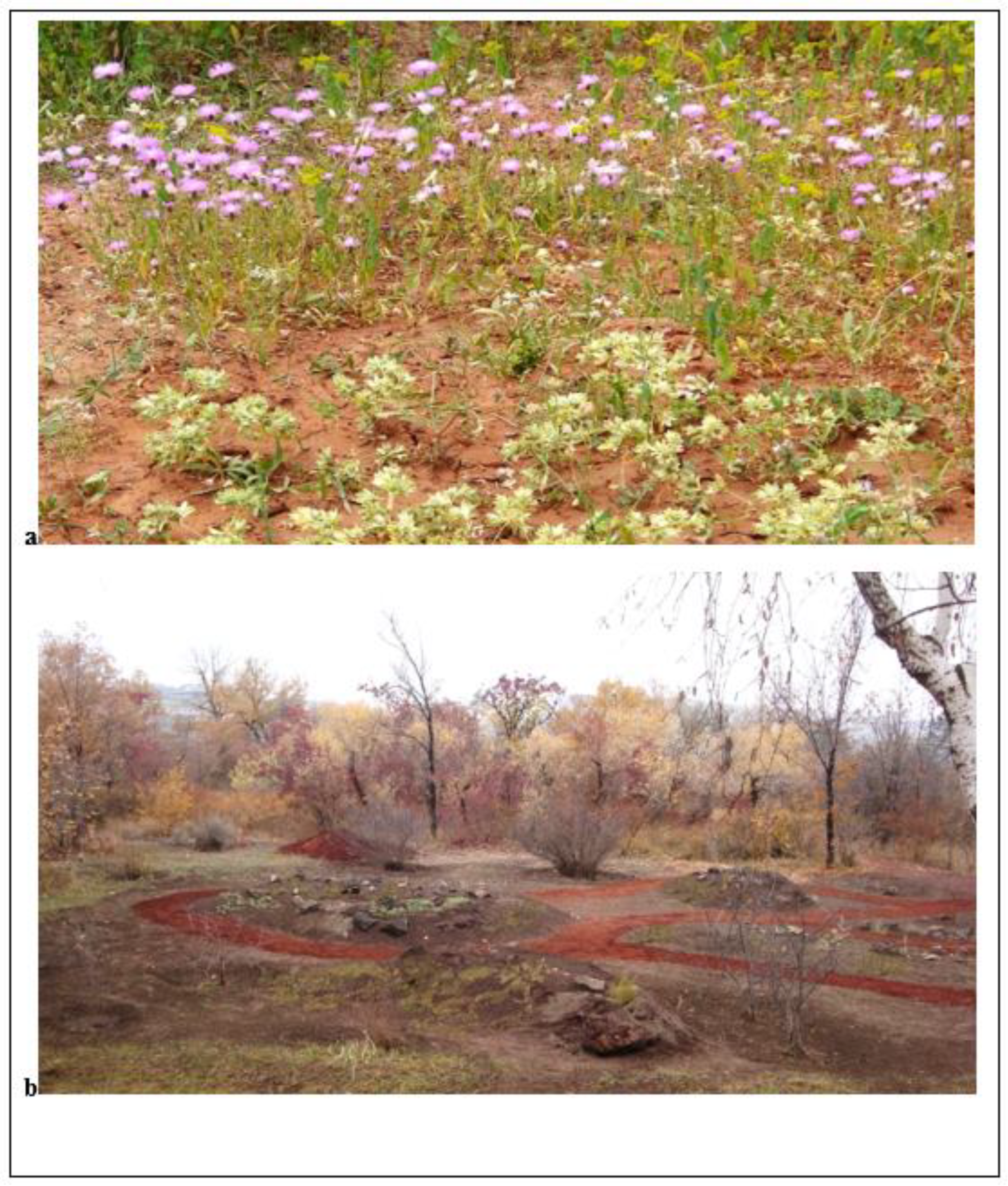 Preprints 149043 g002