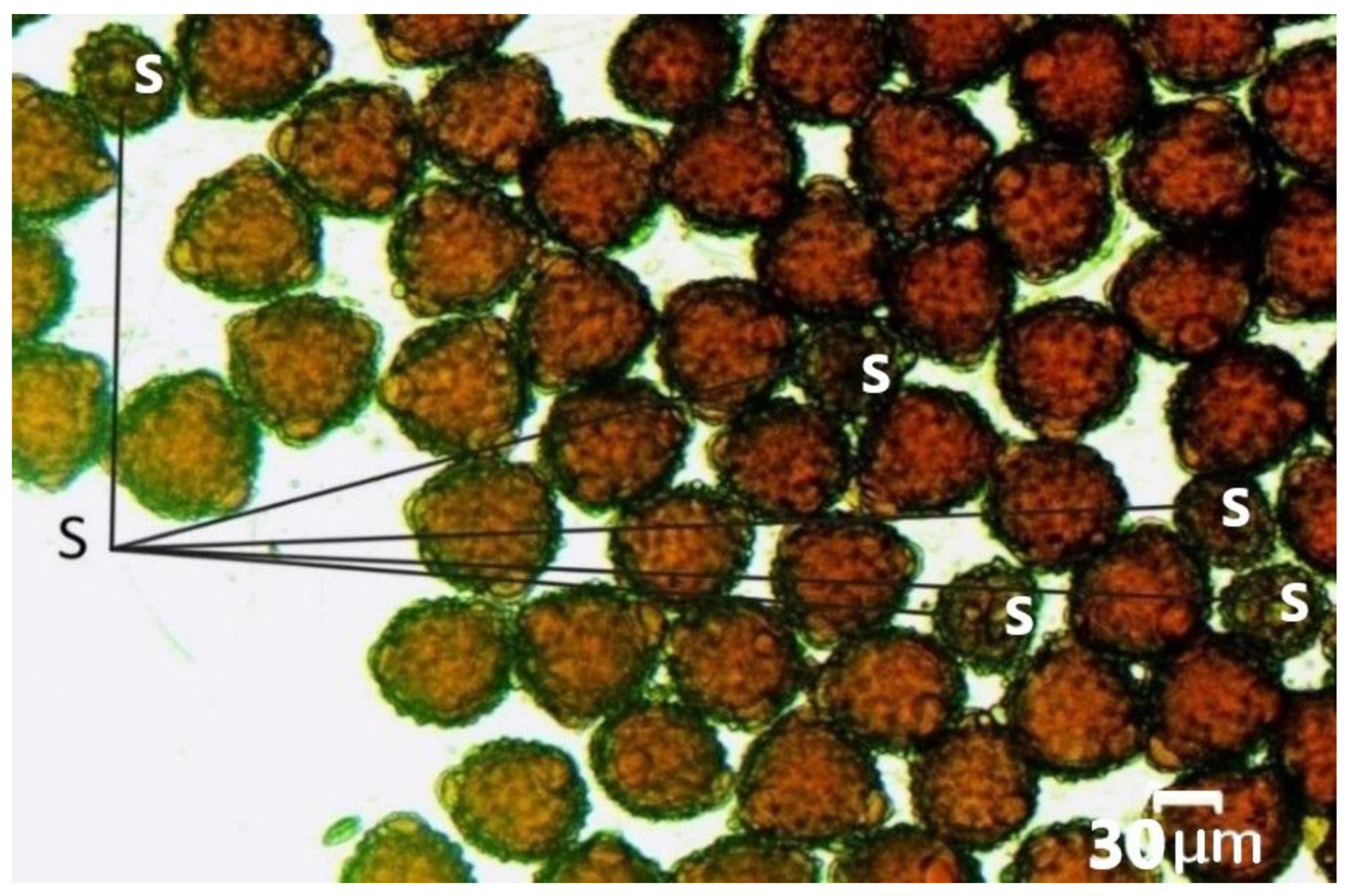 Preprints 149043 g007