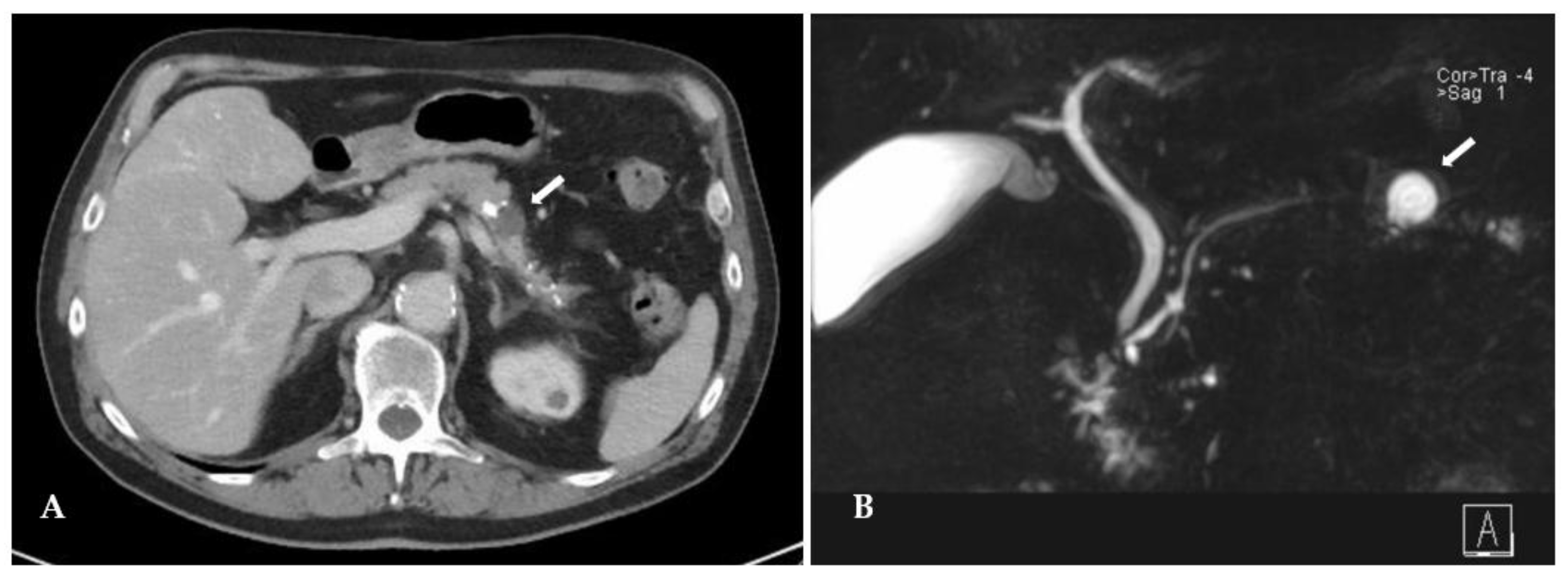 Preprints 201080 g001