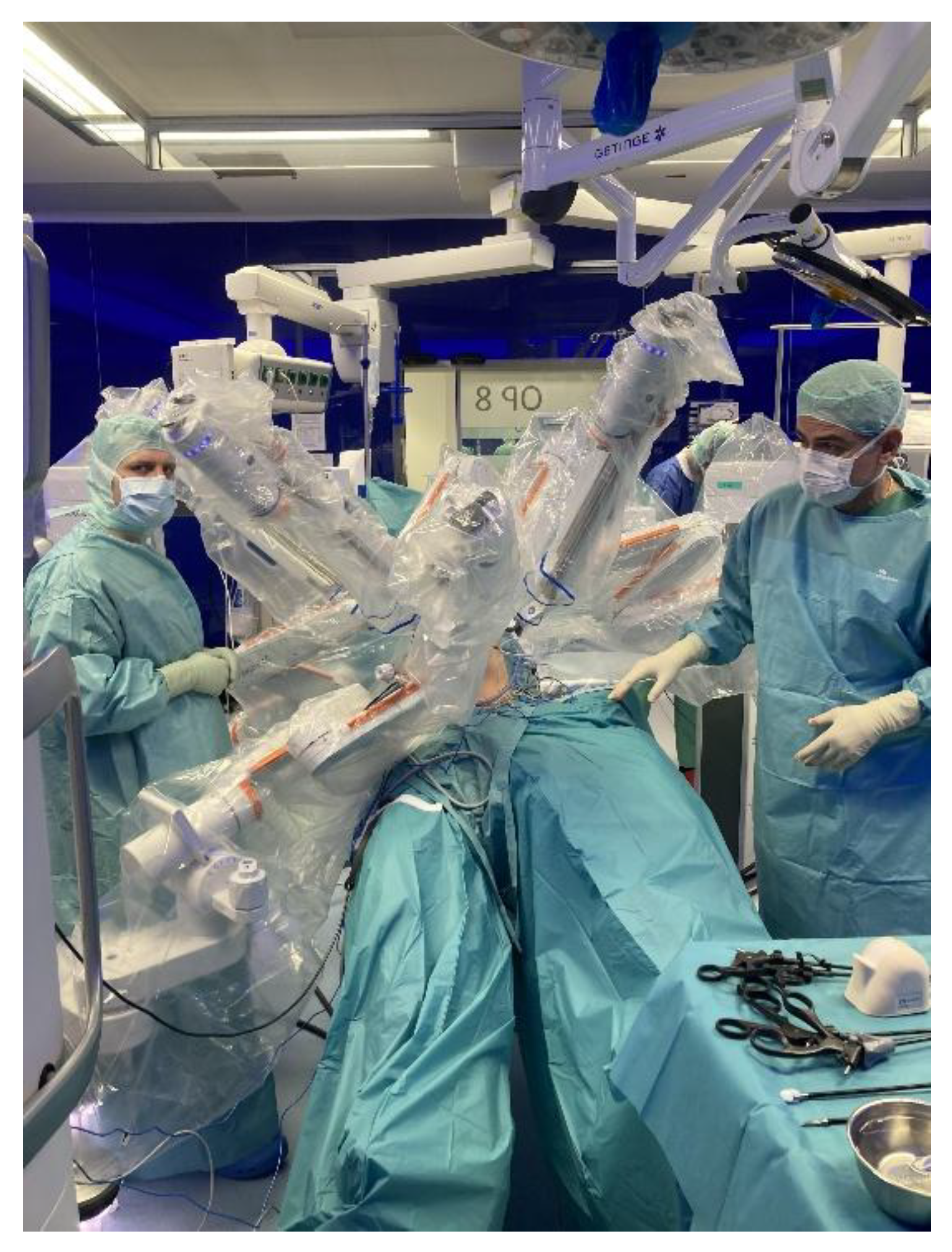 Preprints 201080 g002