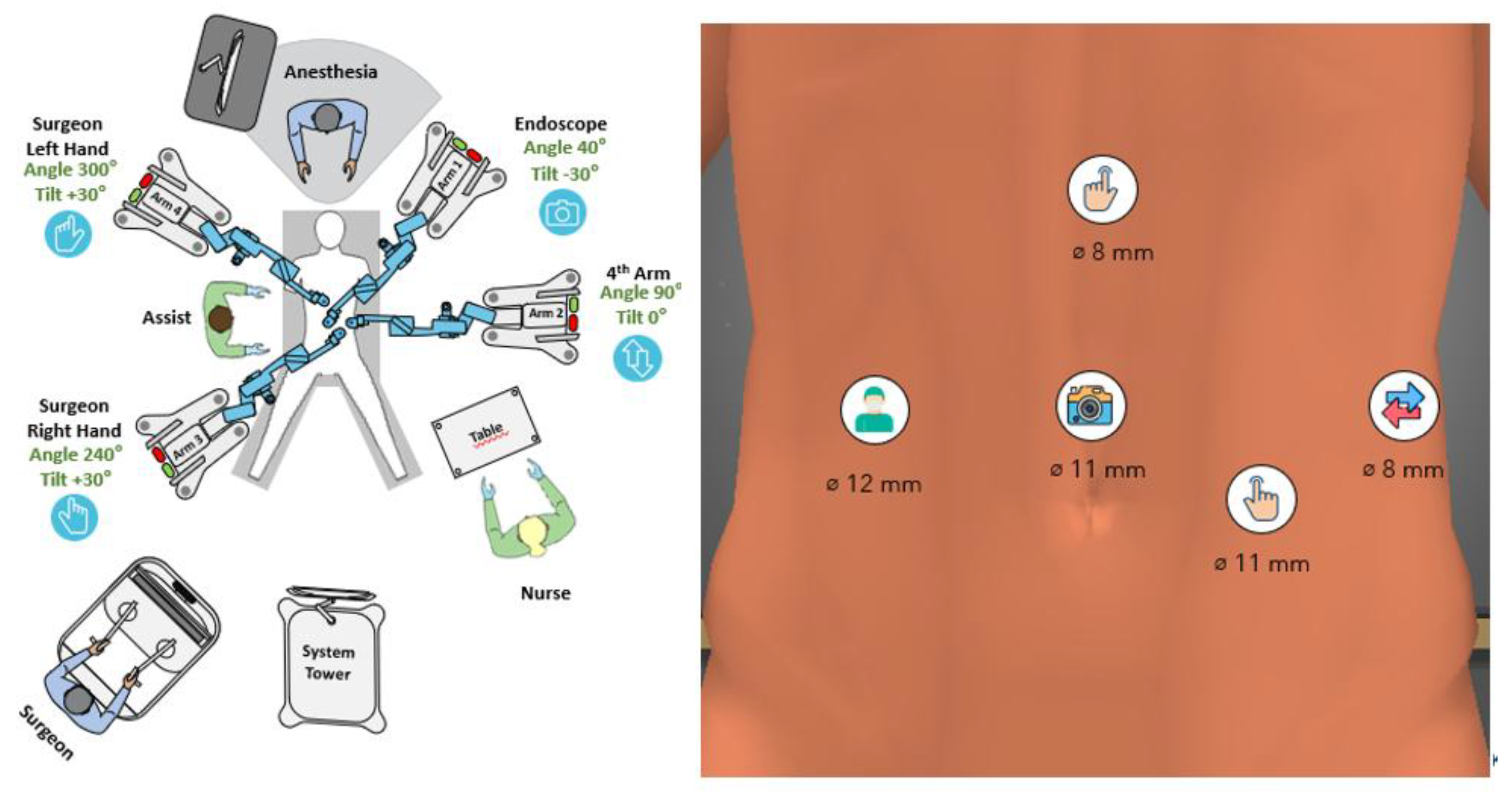 Preprints 201080 g003