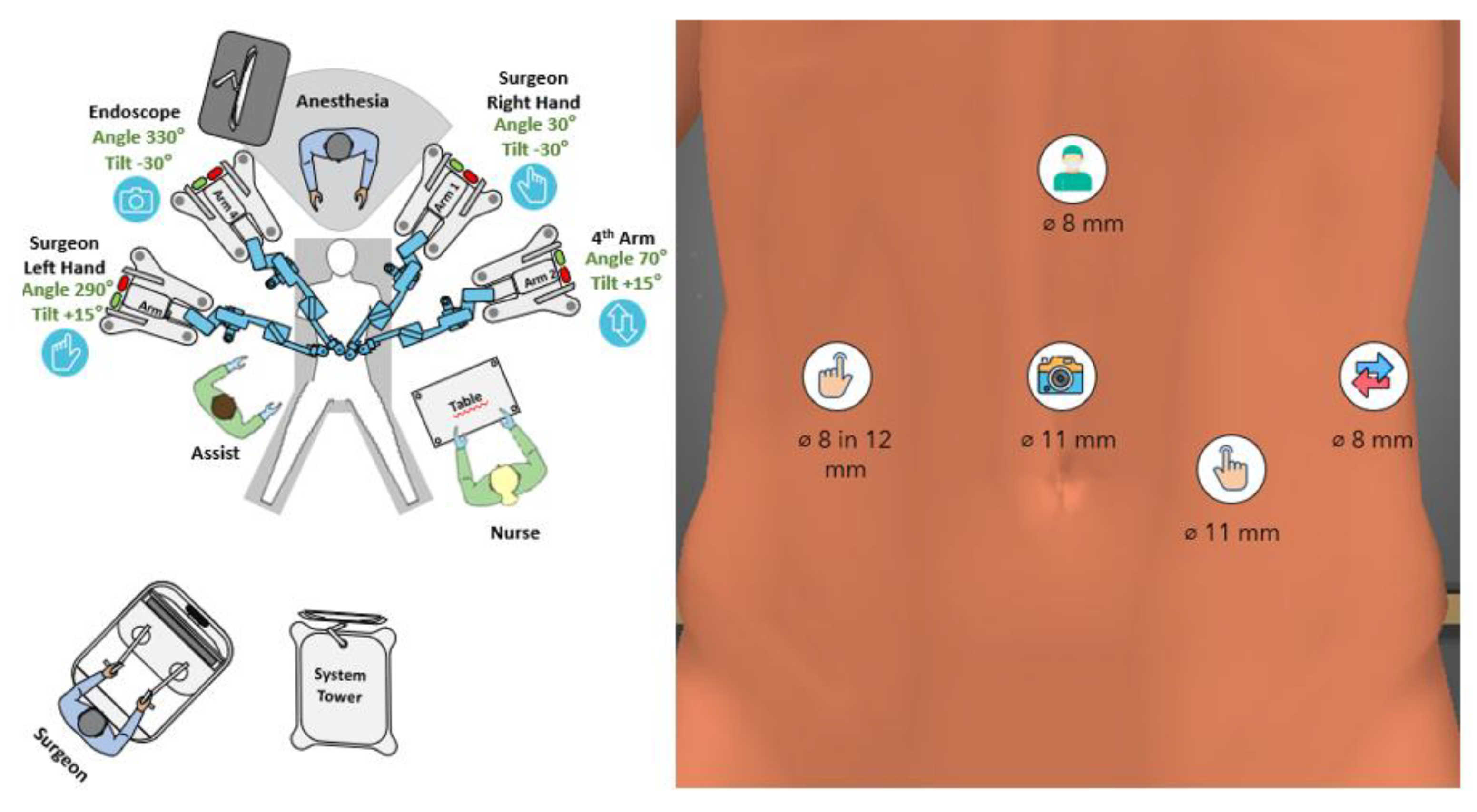Preprints 201080 g004