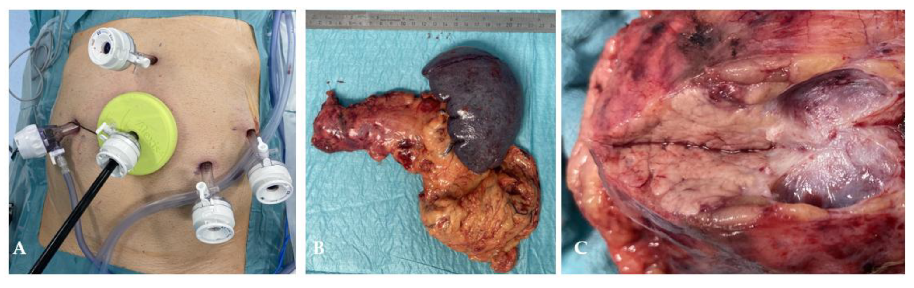 Preprints 201080 g005