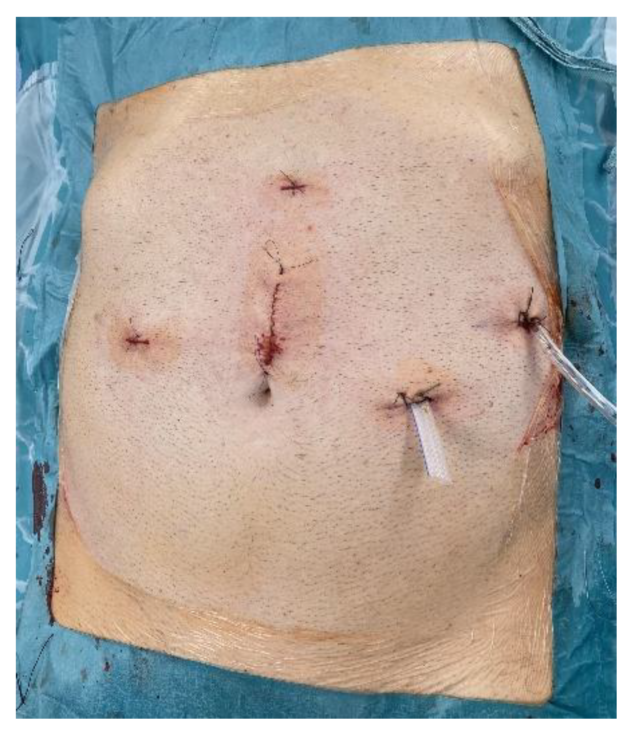 Preprints 201080 g006