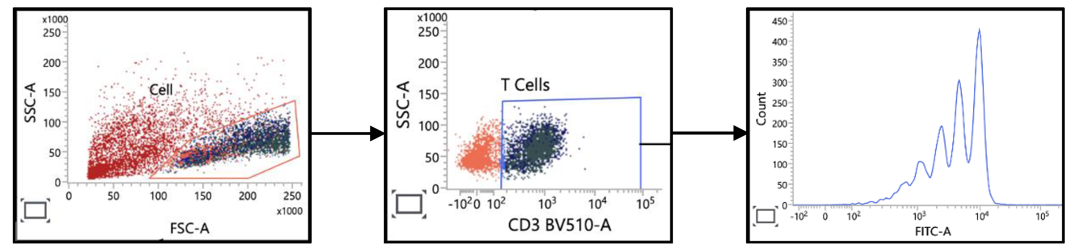 Preprints 145423 g006