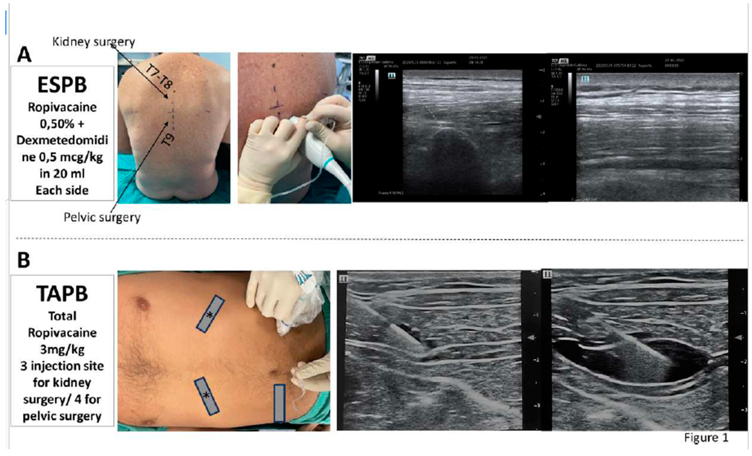 Preprints 89181 g001