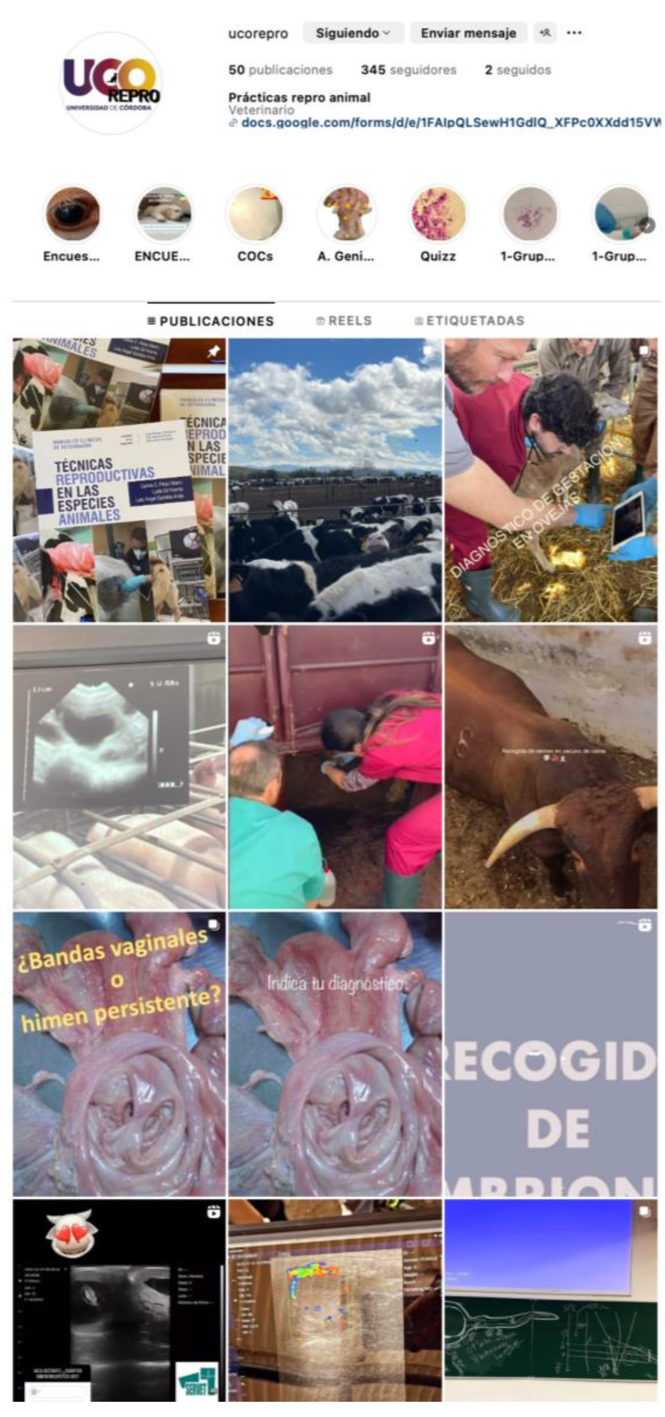 Preprints 161730 g001