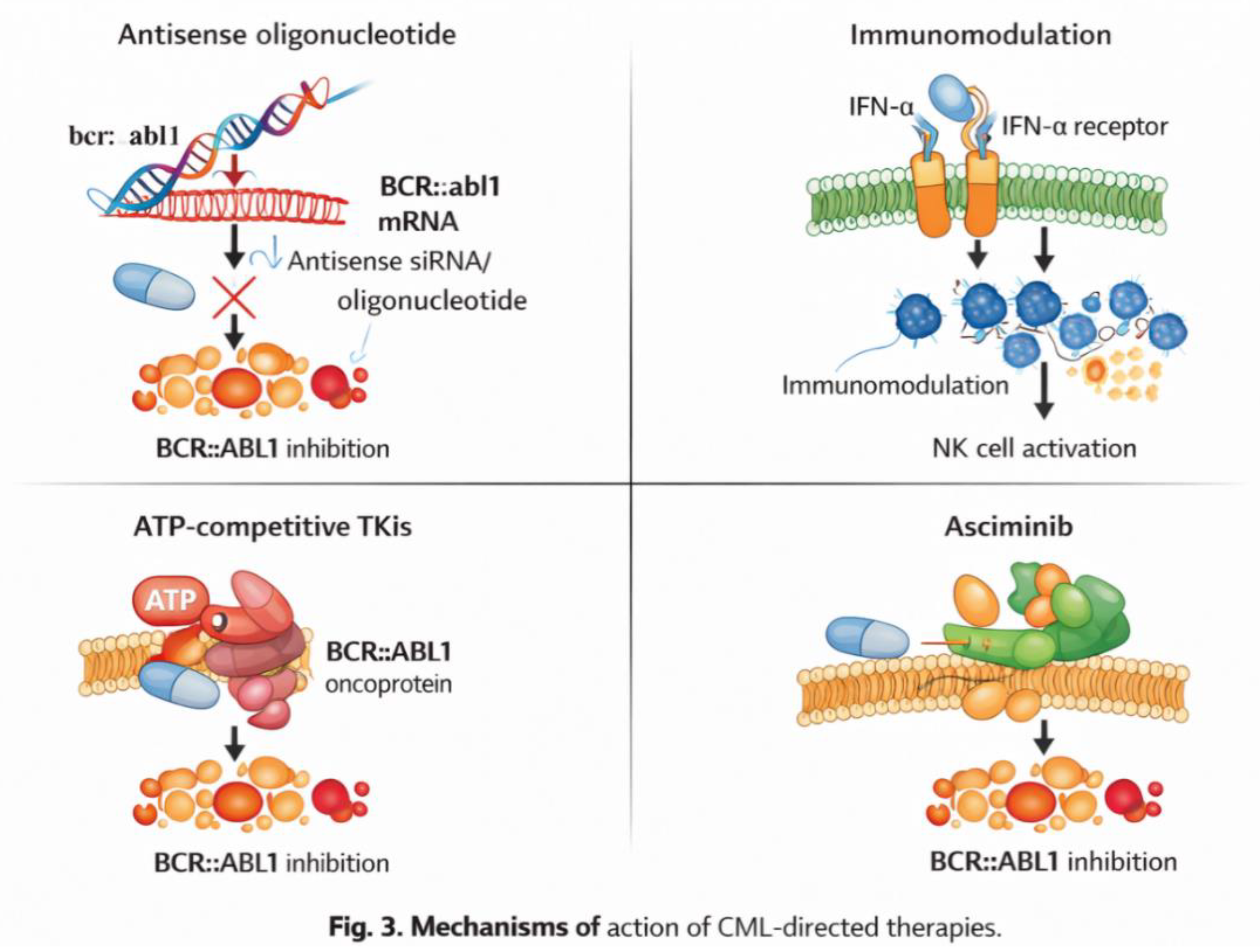 Four Decades of Molecular Innovation in Chronic Myeloid Leukemia