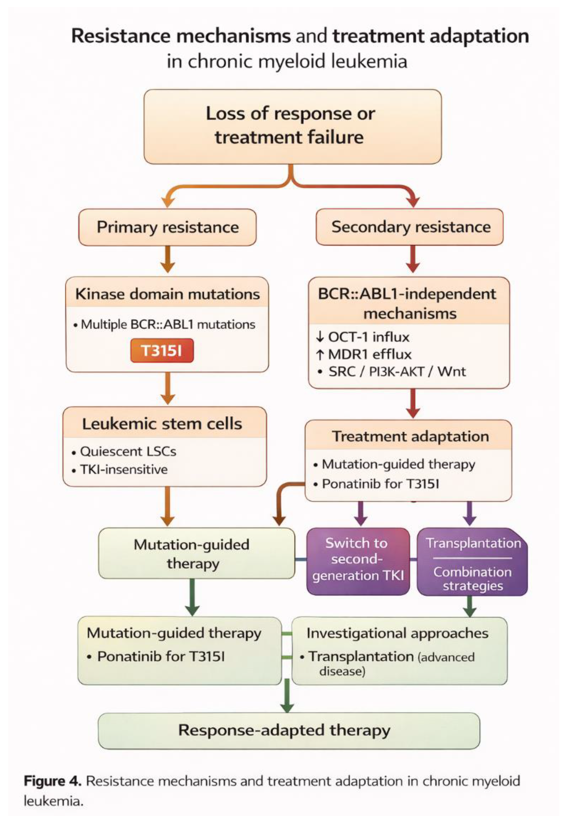 Four Decades of Molecular Innovation in Chronic Myeloid Leukemia