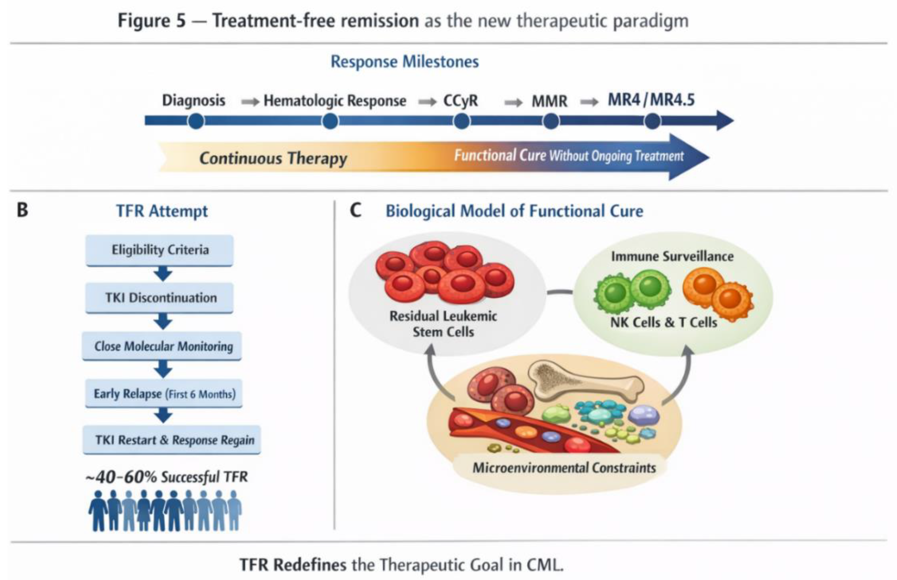 Four Decades of Molecular Innovation in Chronic Myeloid Leukemia