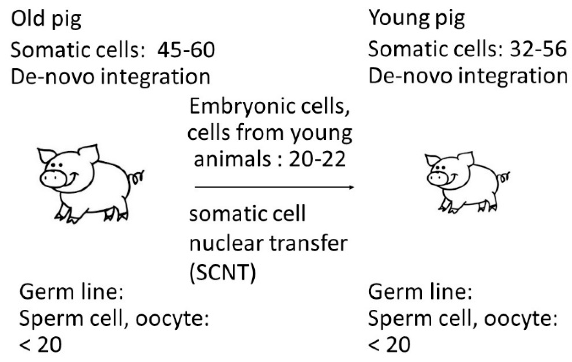 Preprints 89632 g005