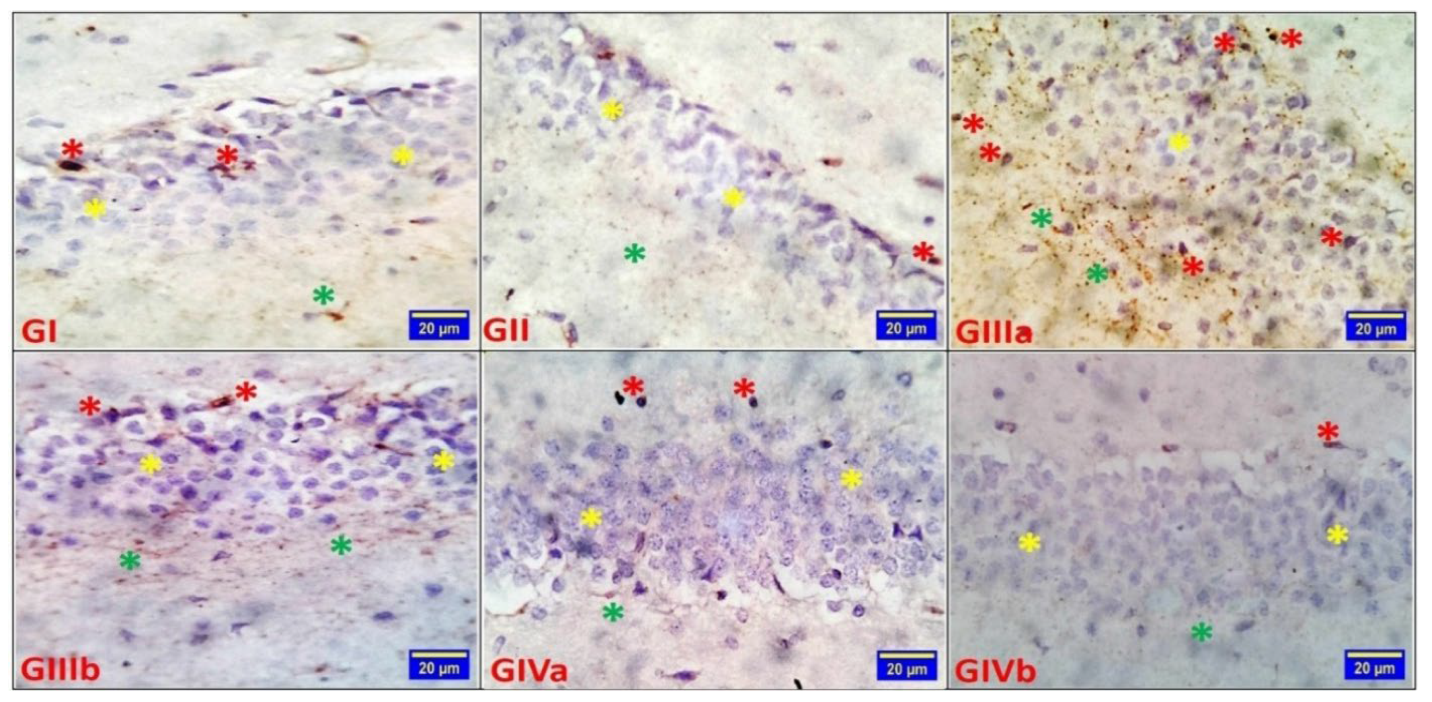 Preprints 215752 g003 Preprints 215752 g003