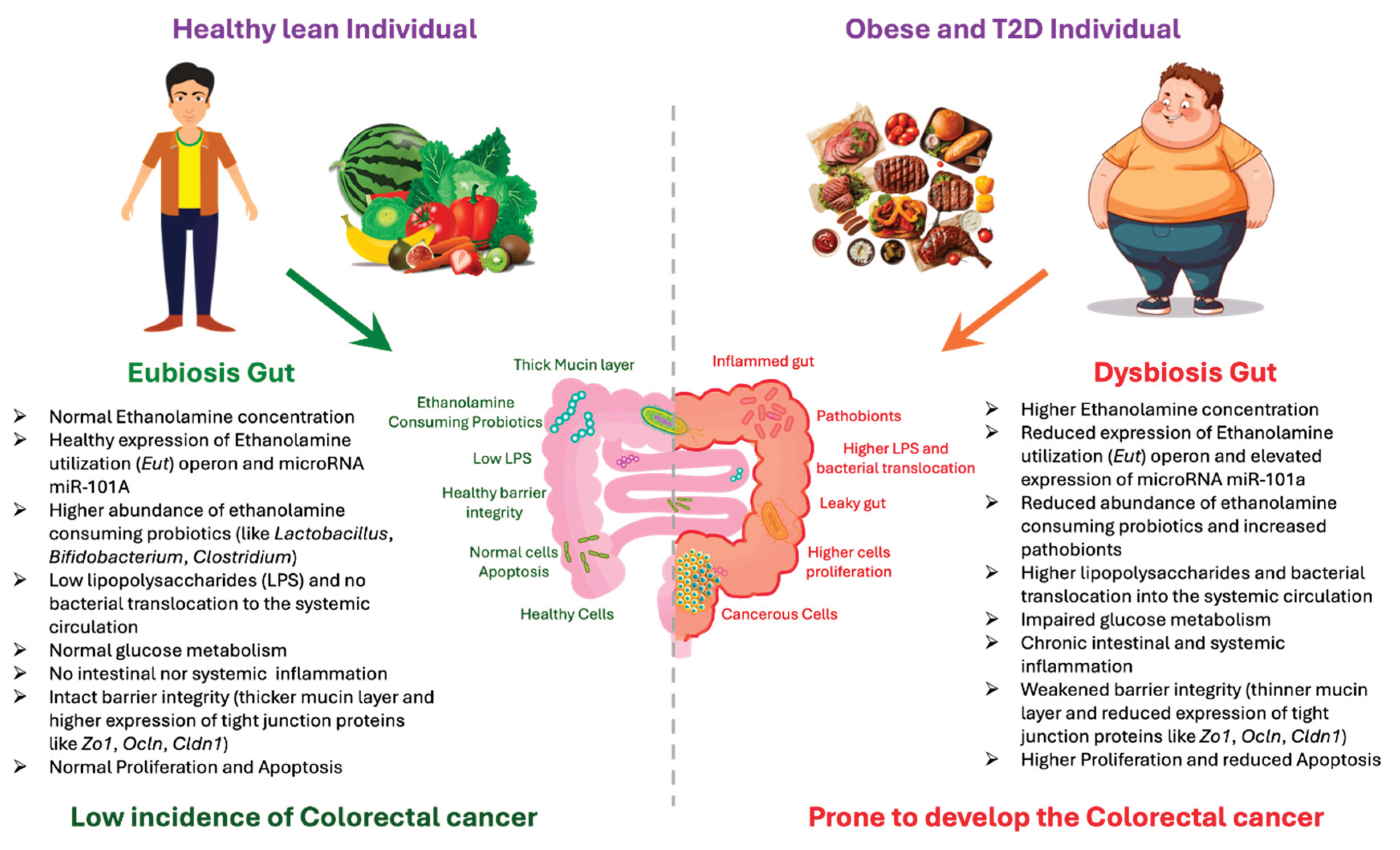 Preprints 199499 g001
