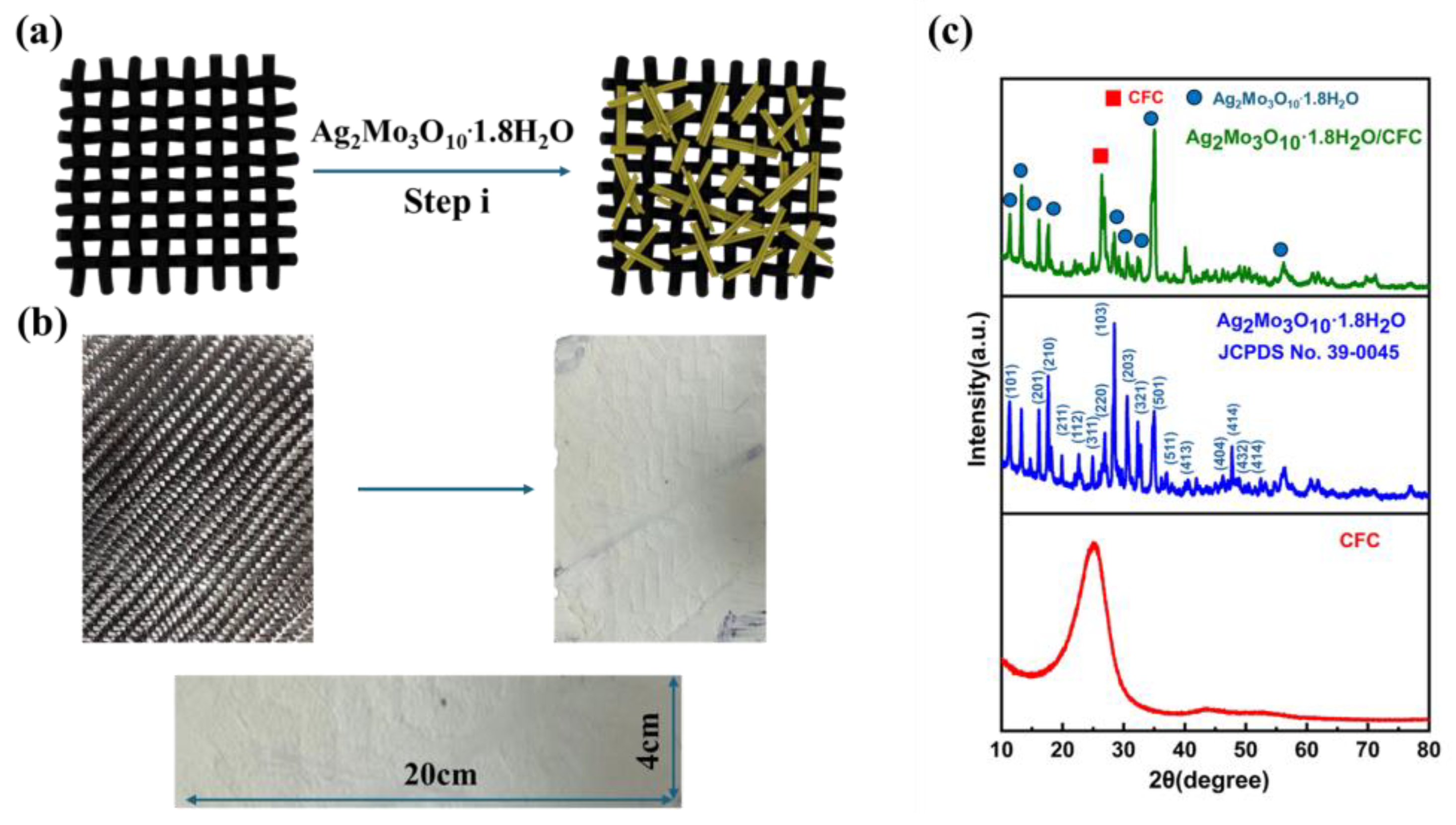 Preprints 191905 g001