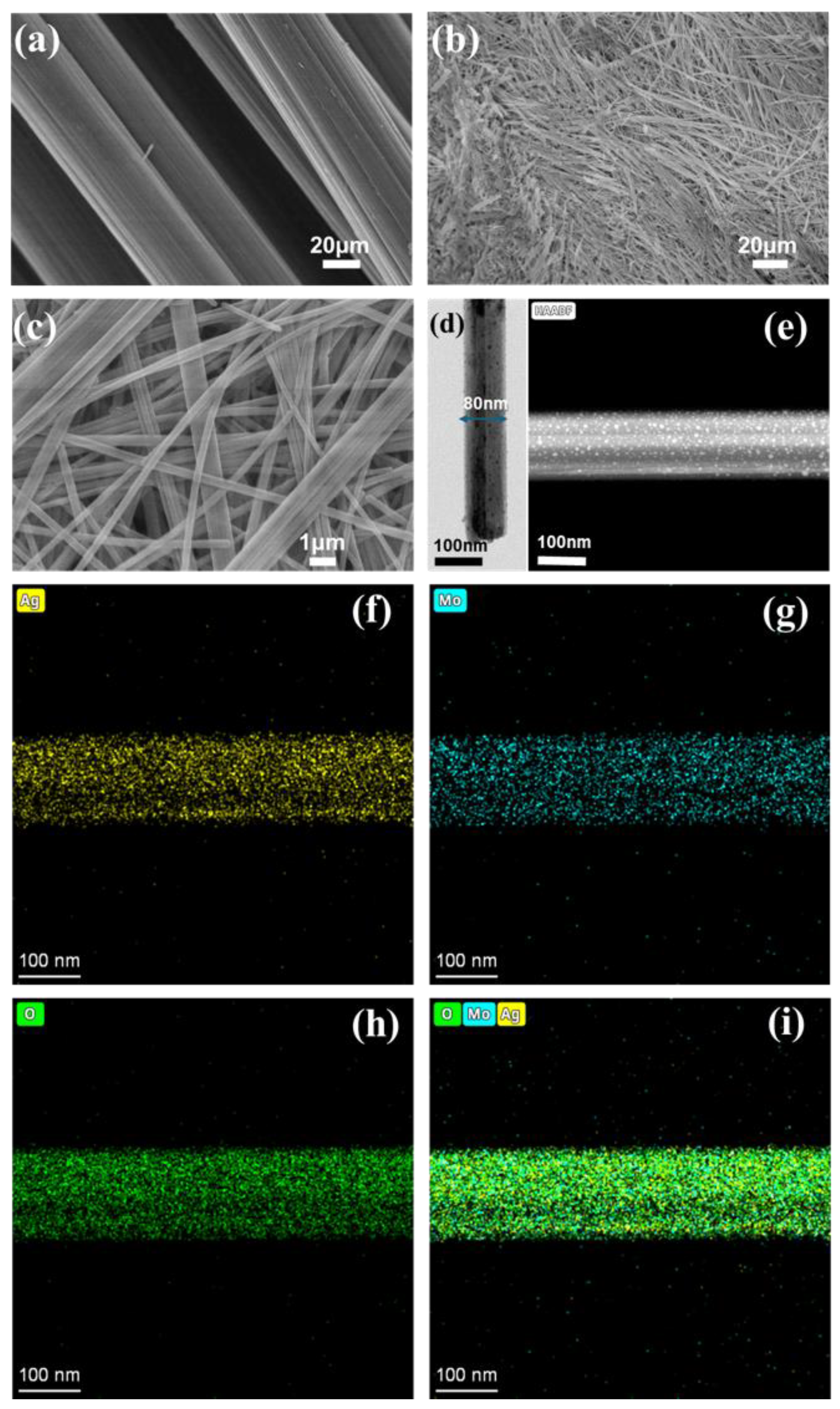 Preprints 191905 g002