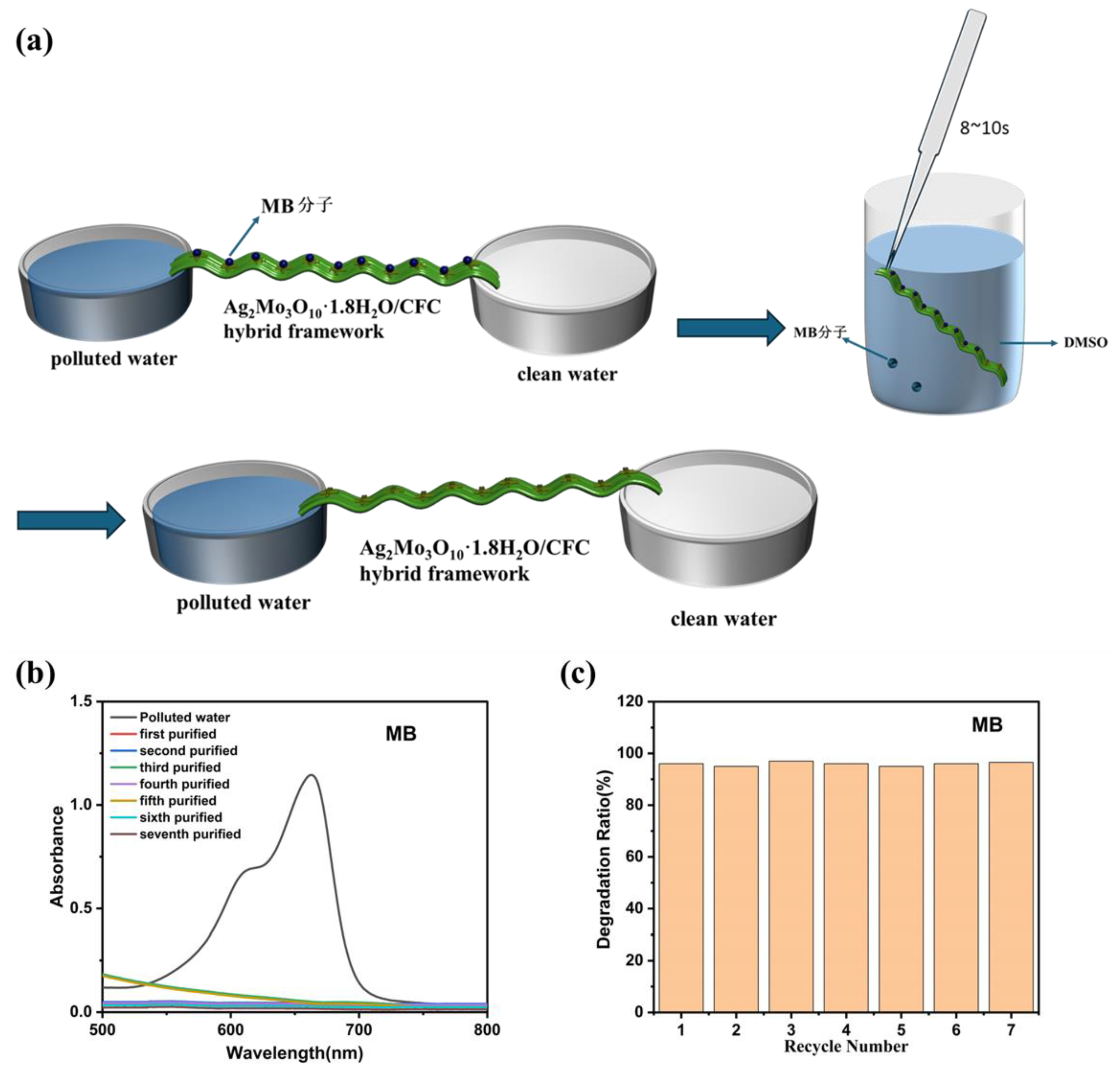 Preprints 191905 g007