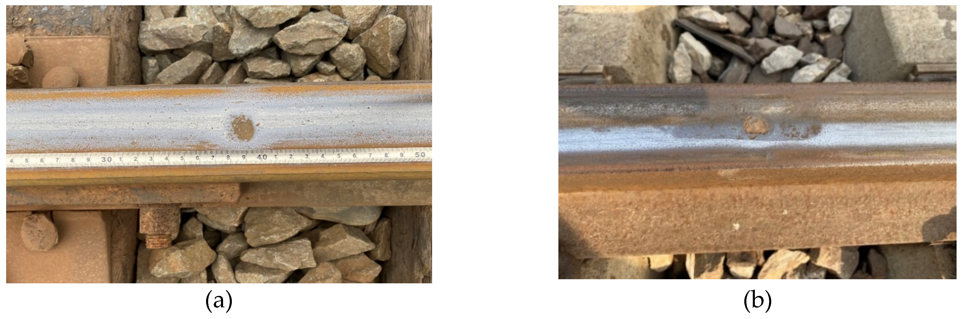 Preprints 157427 g003a