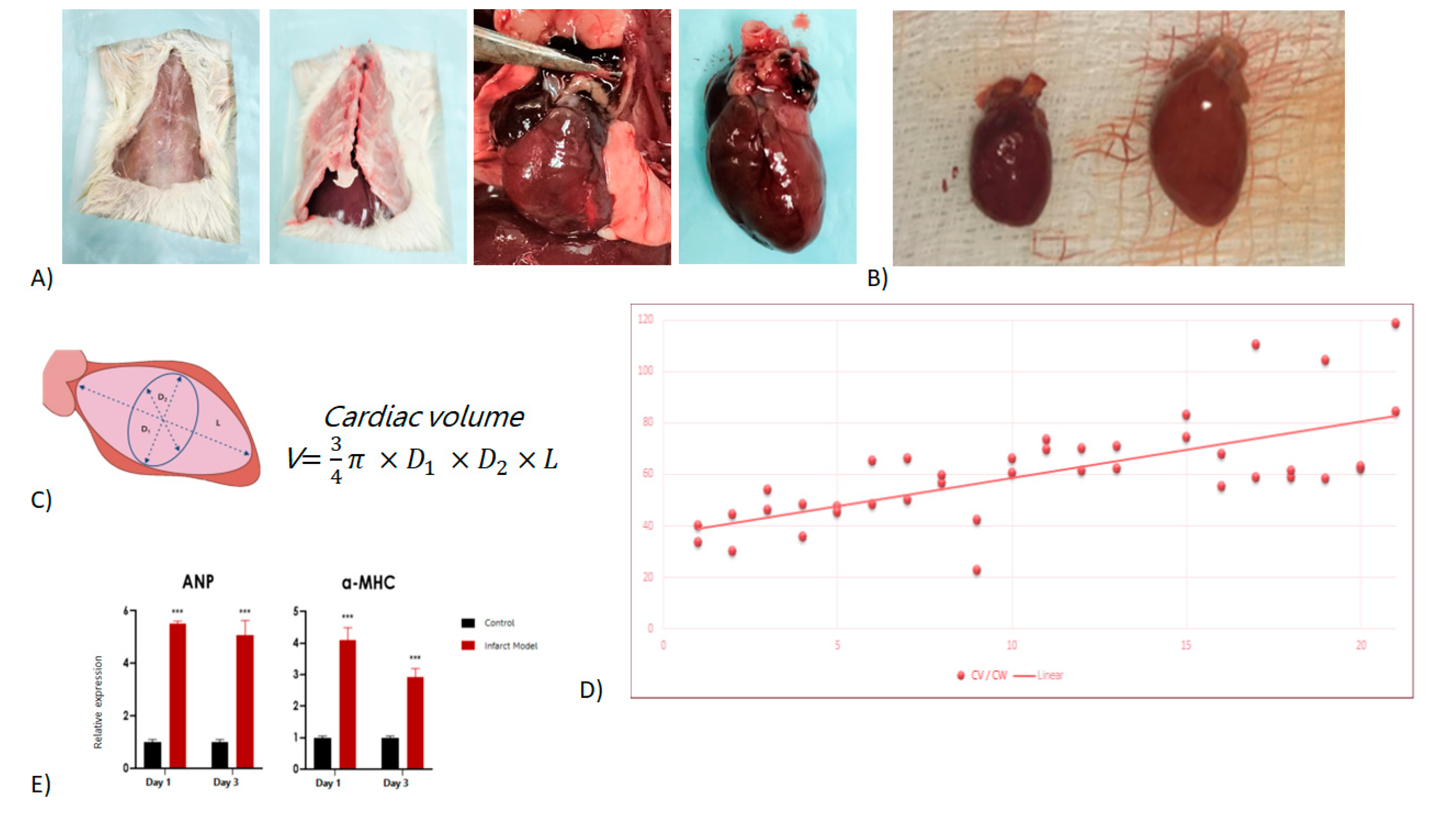 Preprints 83767 g001