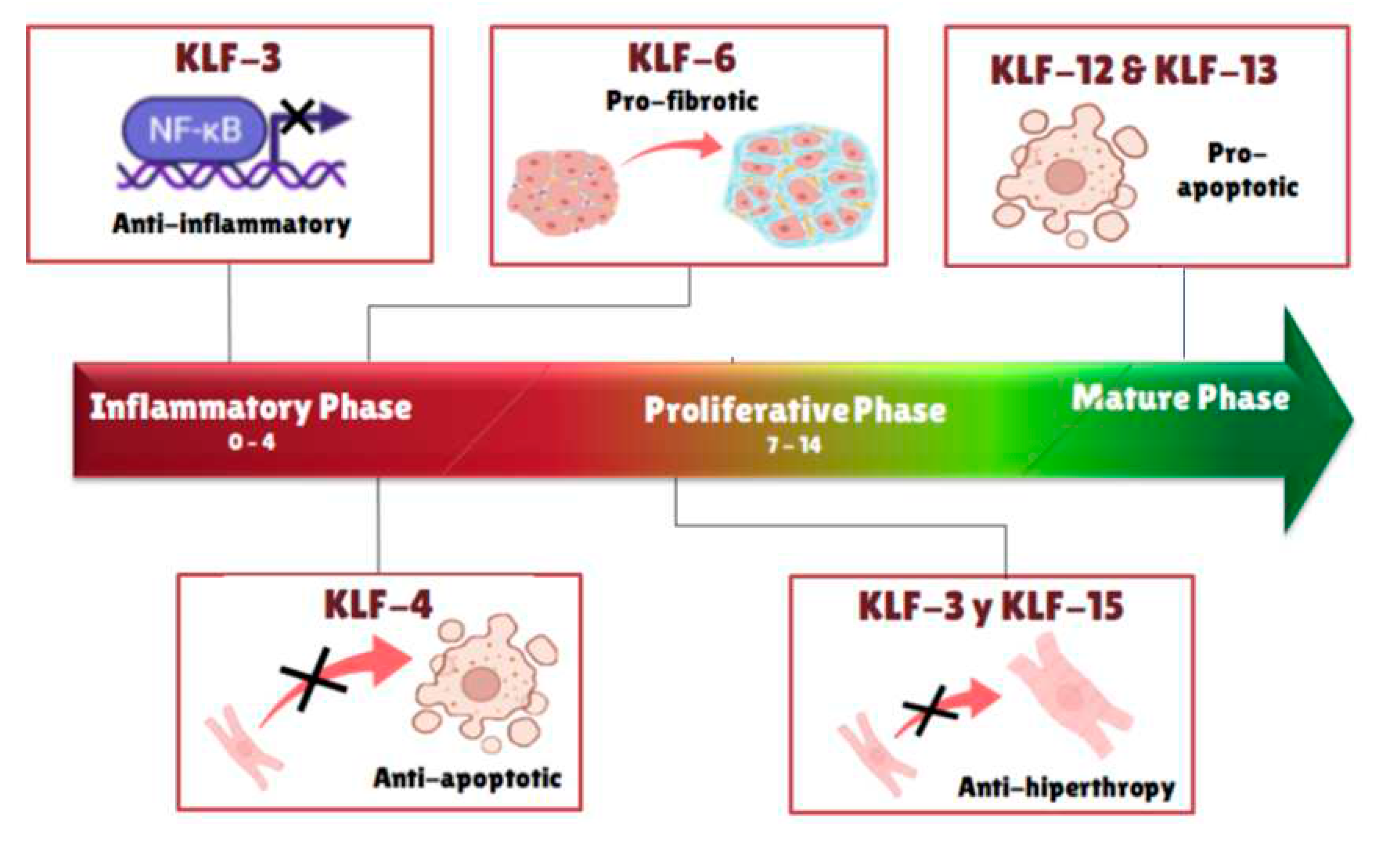 Preprints 83767 g003
