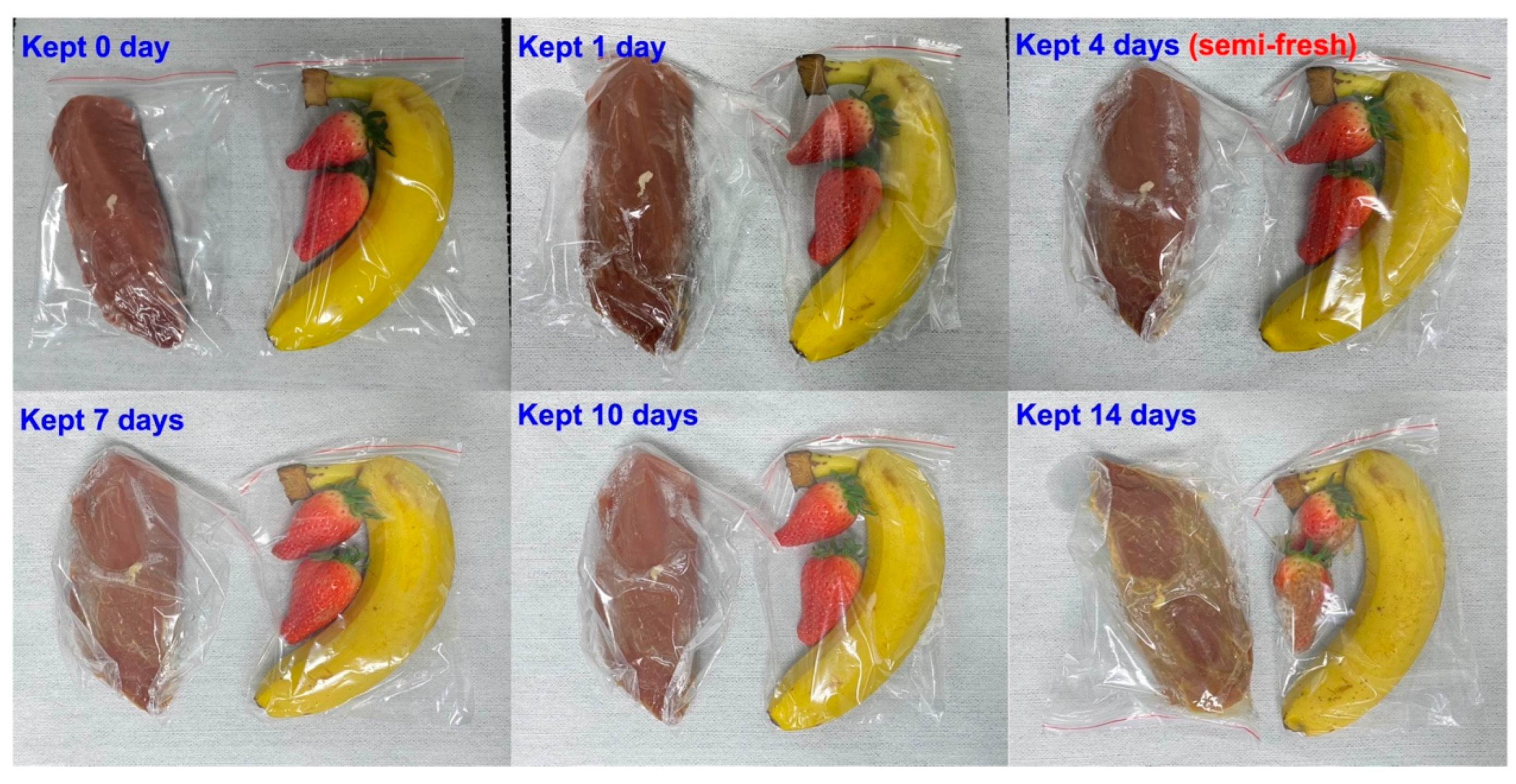 Preprints 83168 g008