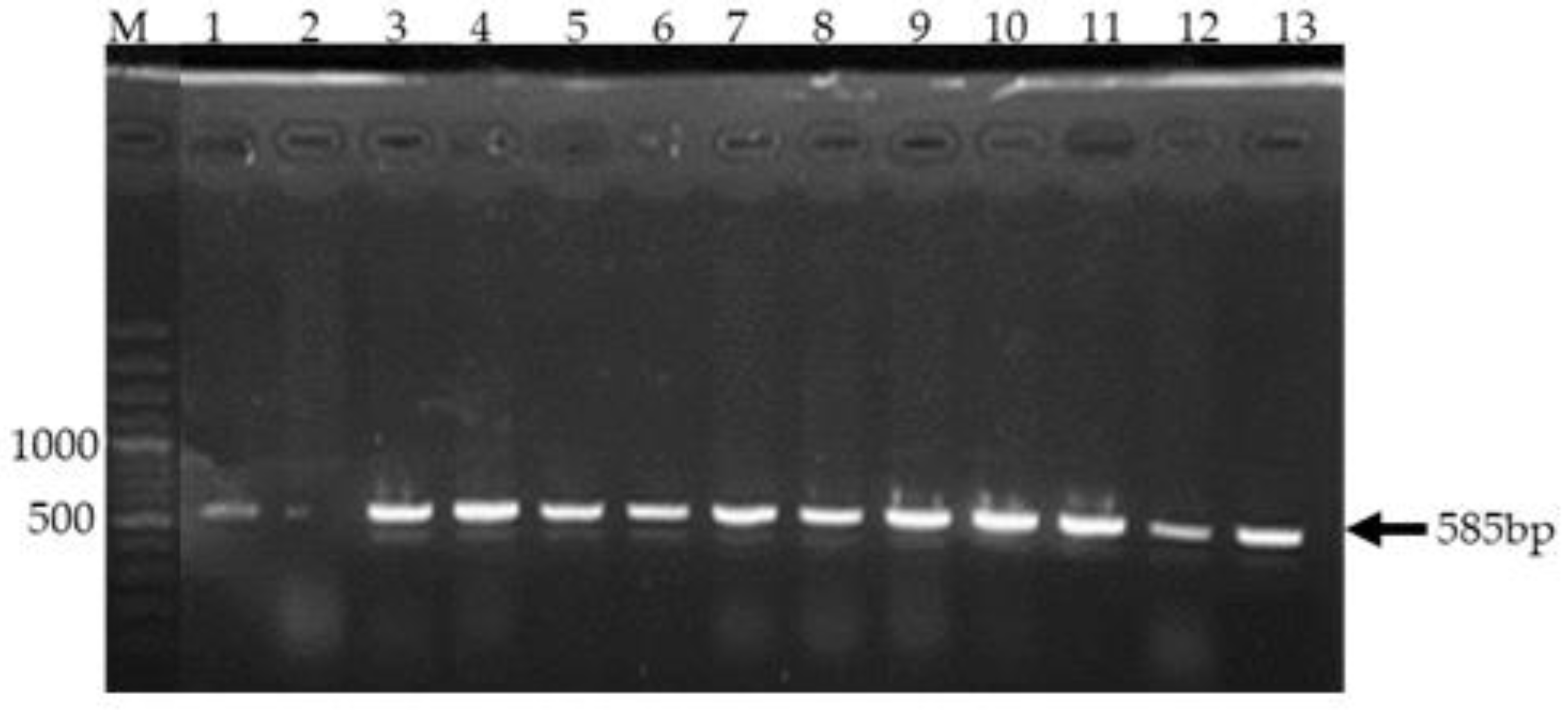 Preprints 170826 g004