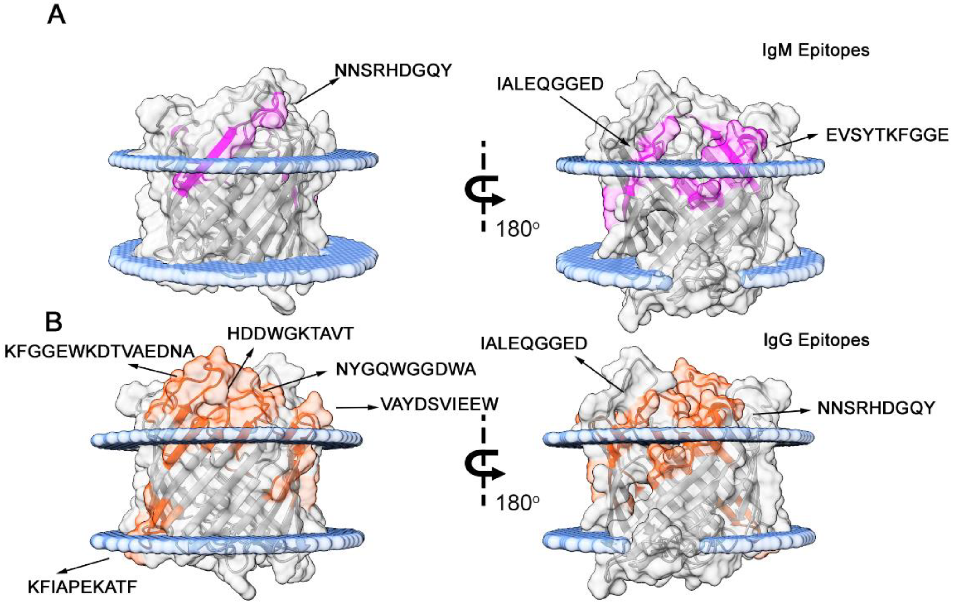 Preprints 171465 g005
