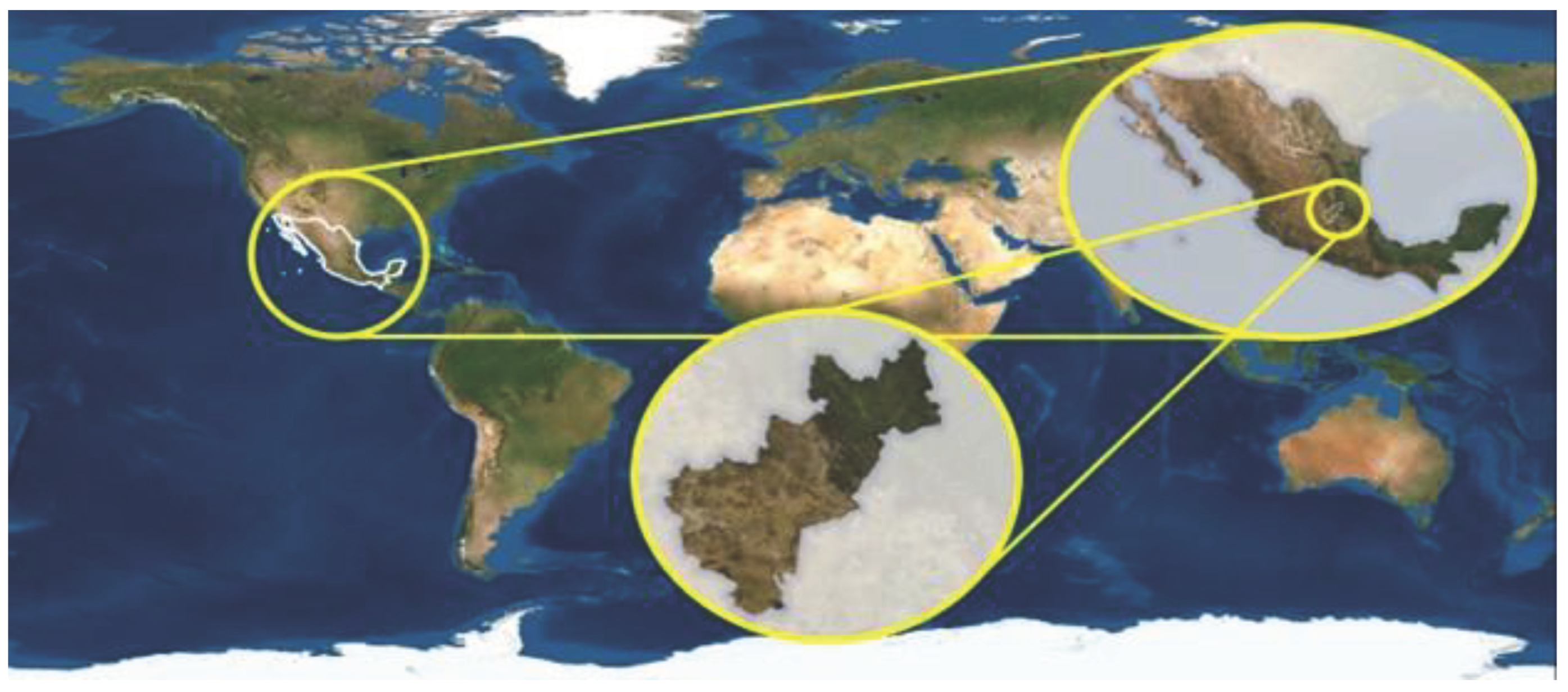 Preprints 99996 g001